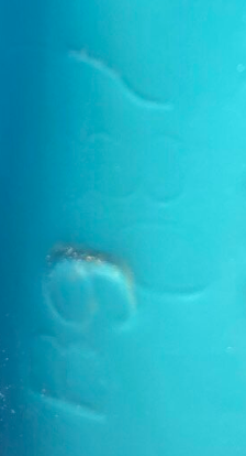 1735118422580.png