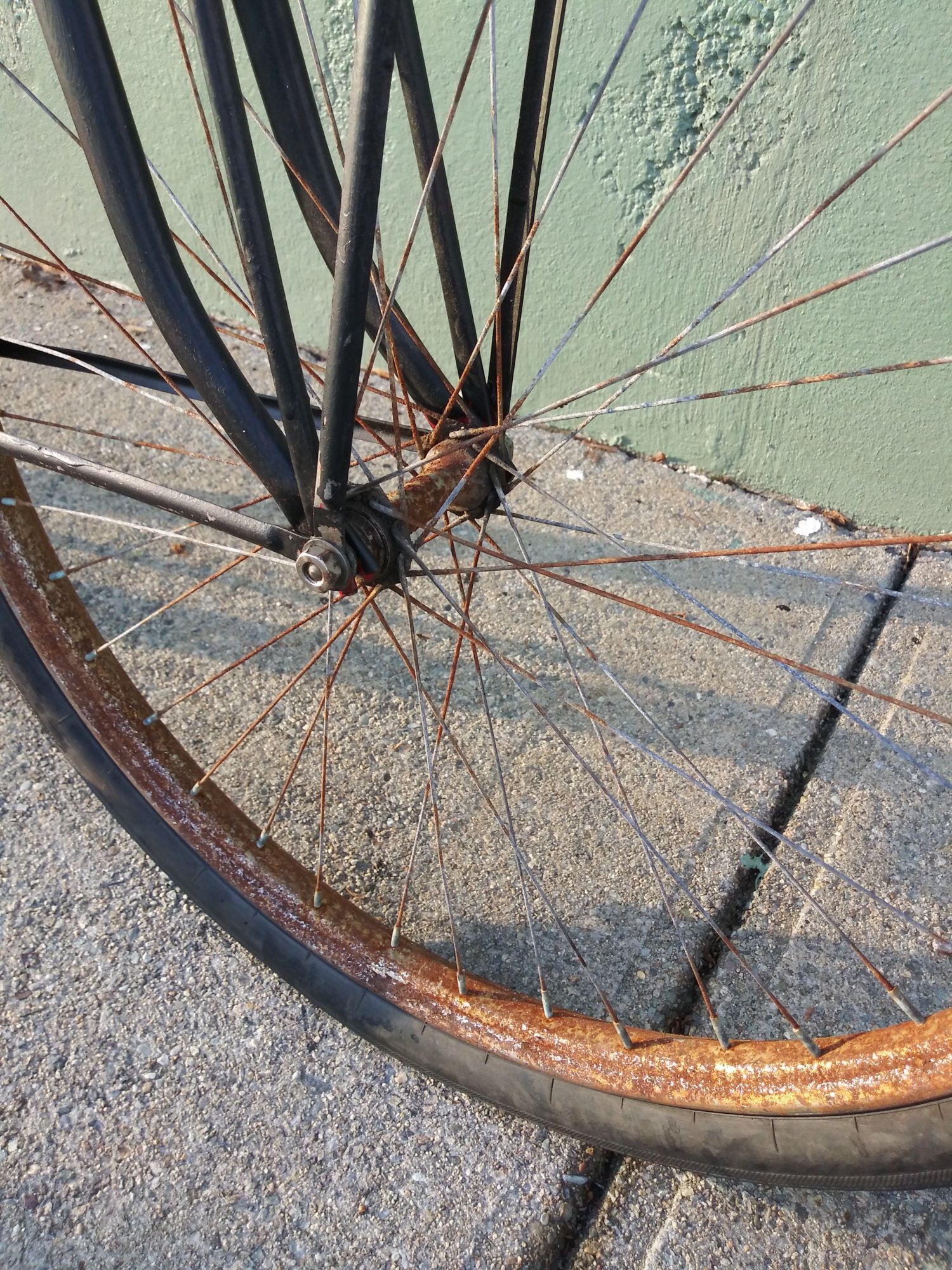 20190213_161256.jpg