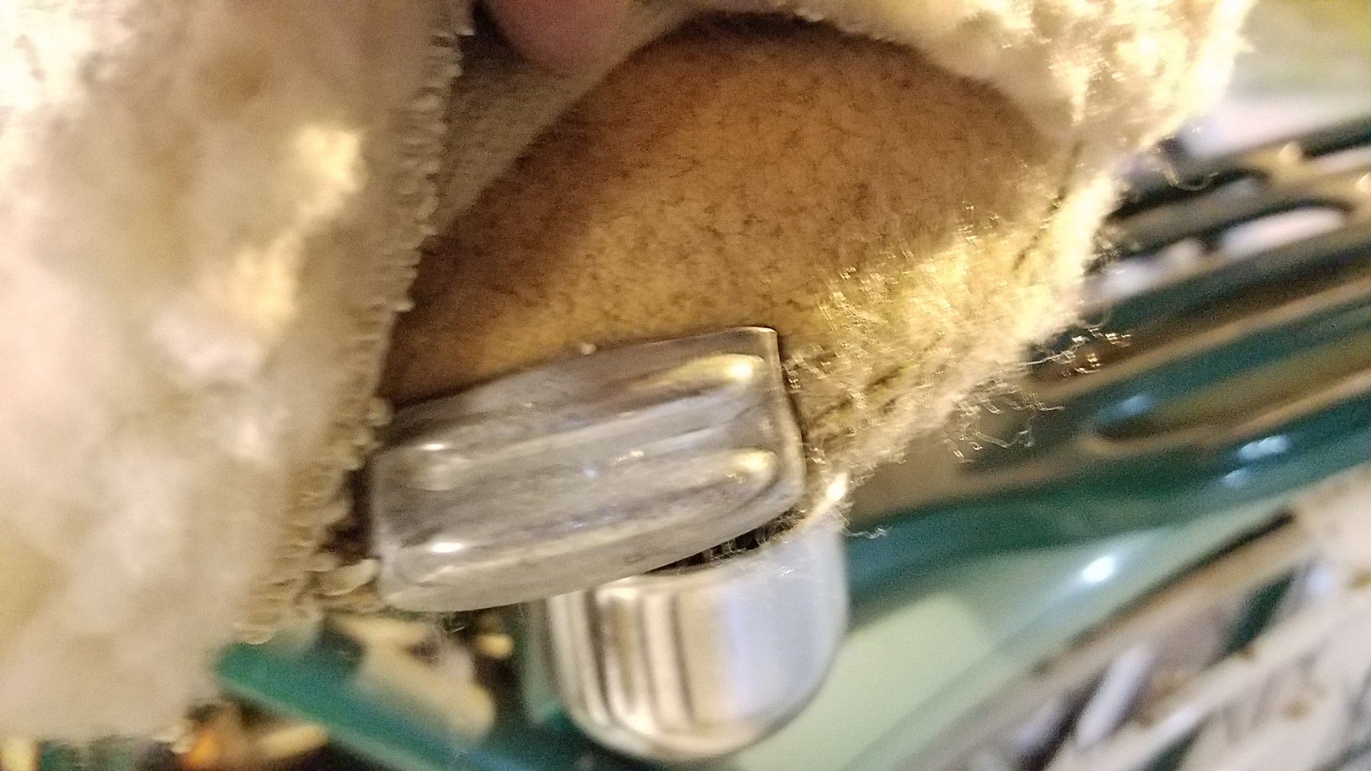 20190330_233652.jpg