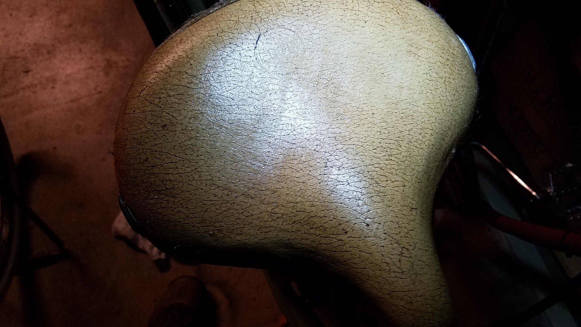 20190401_000549.jpg