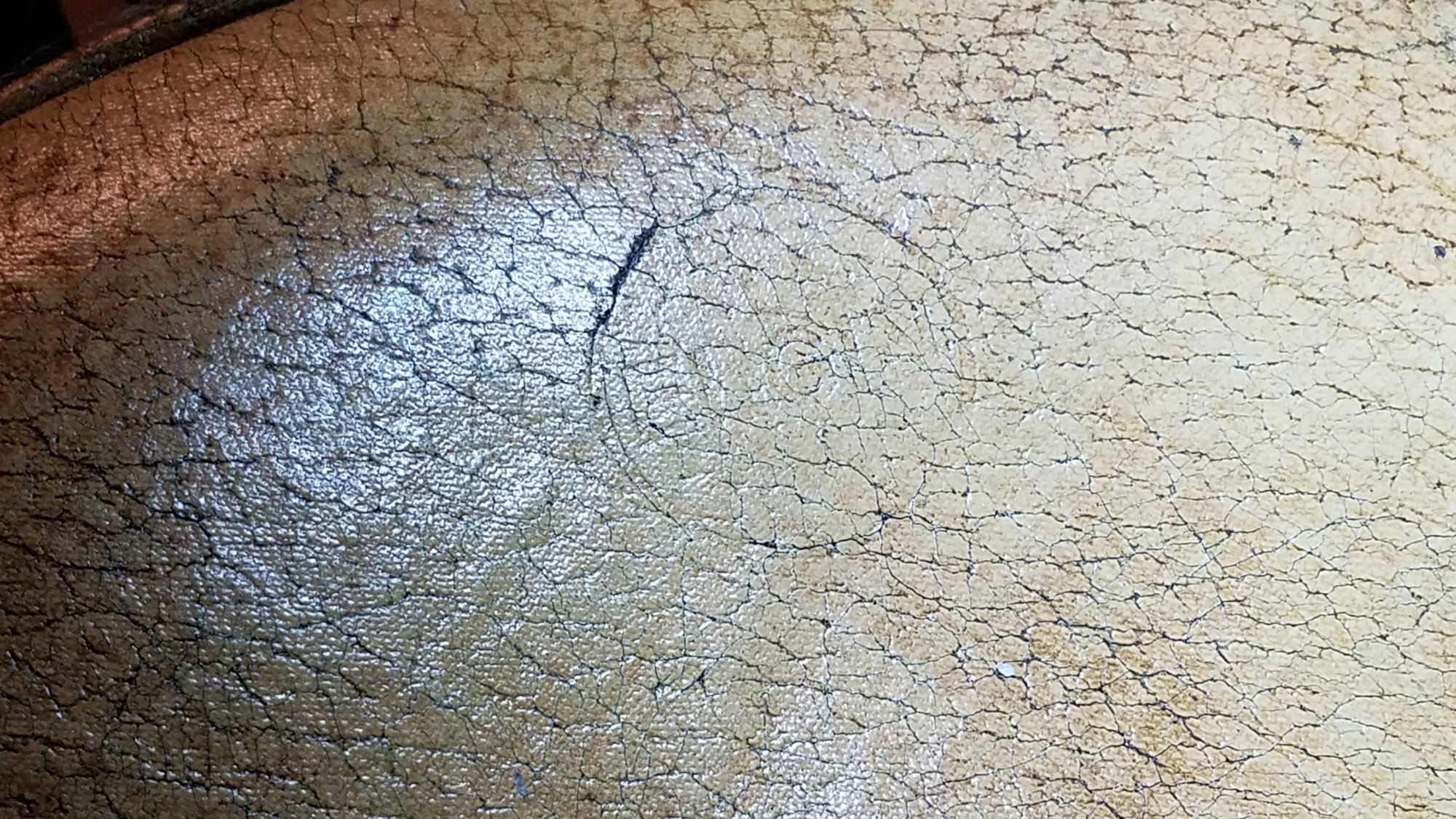 20190401_000559.jpg