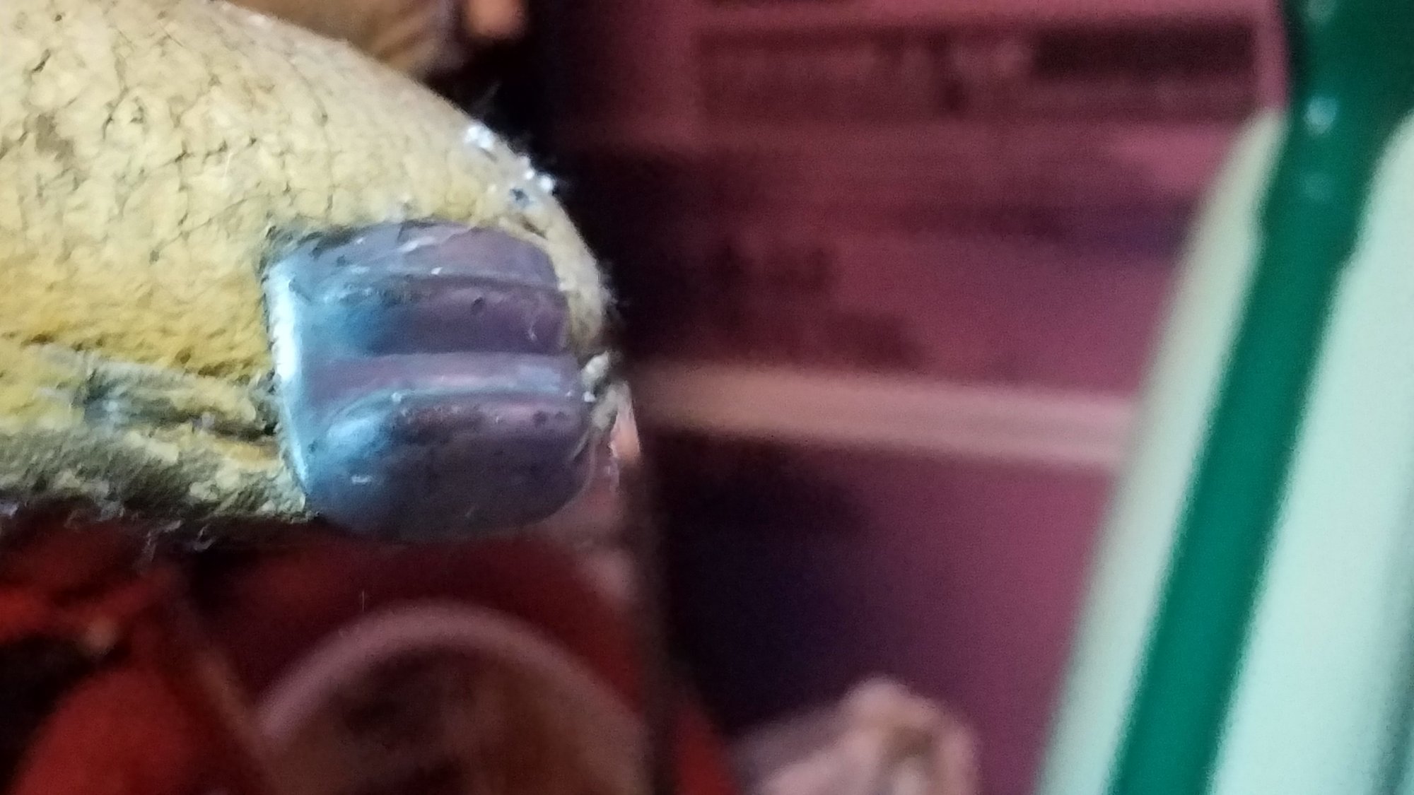 20190401_000619.jpg