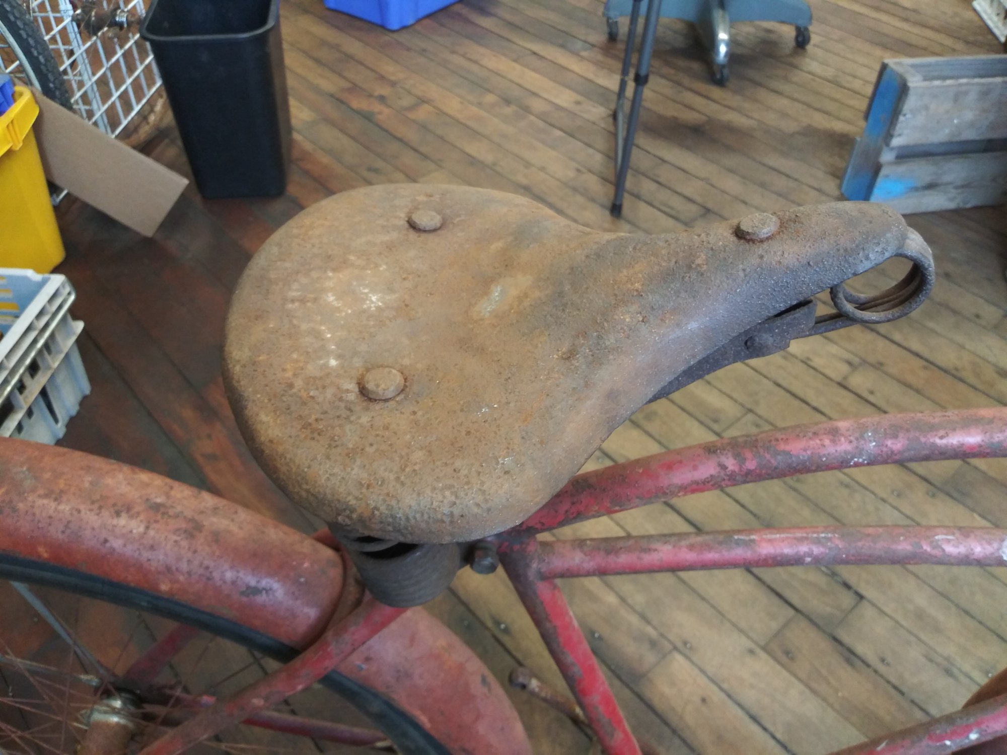 20190421_133816.jpg