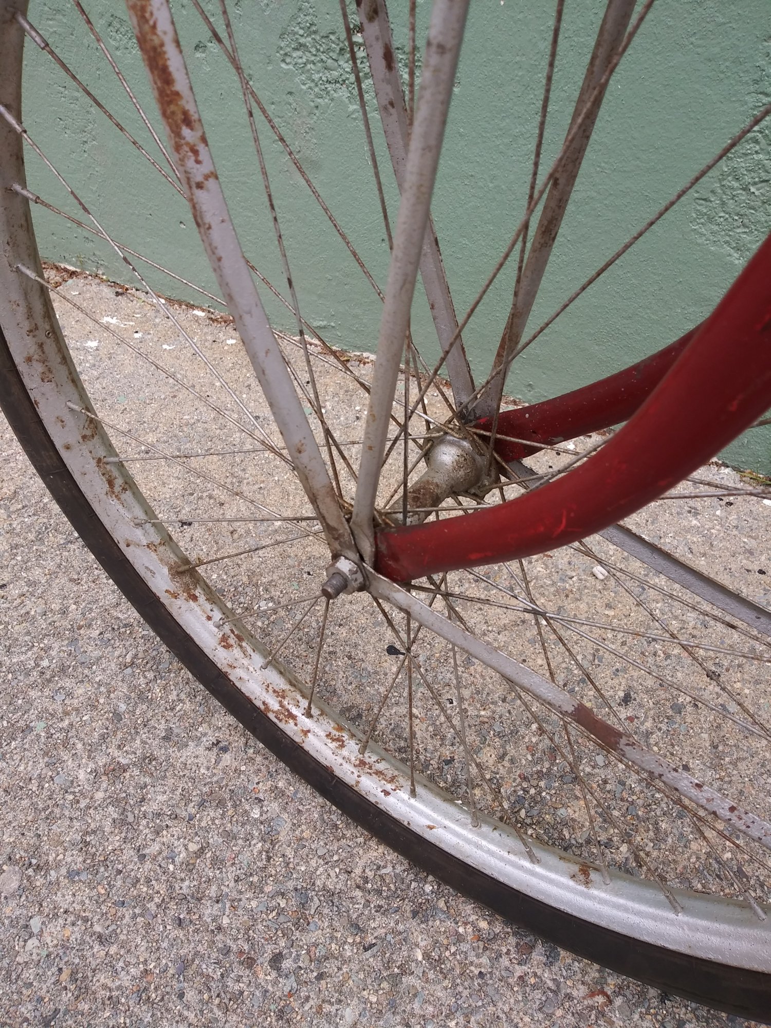 20190530_134355.jpg