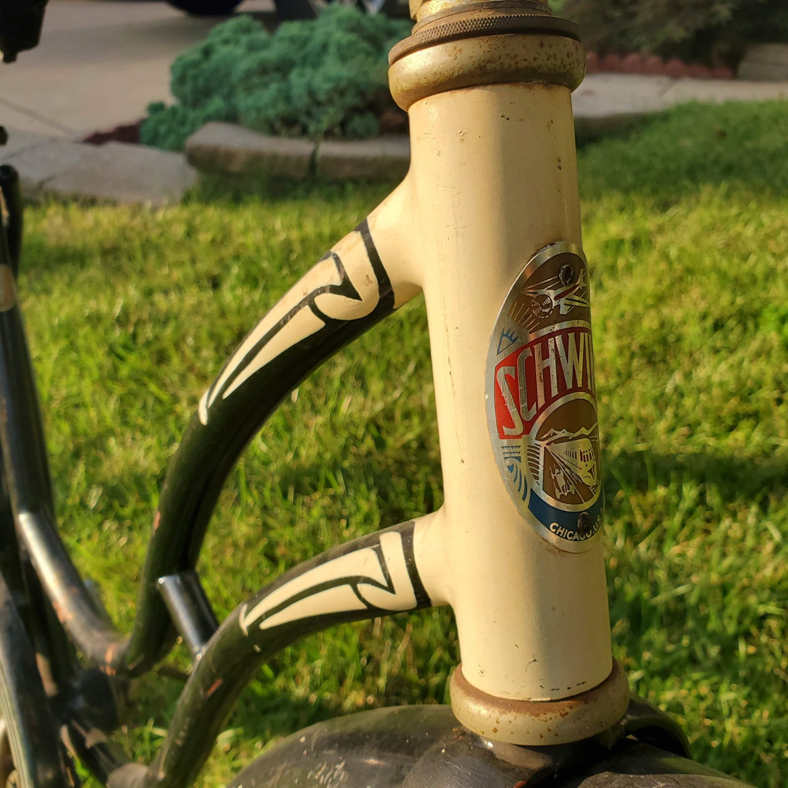 20200722_191458.jpg