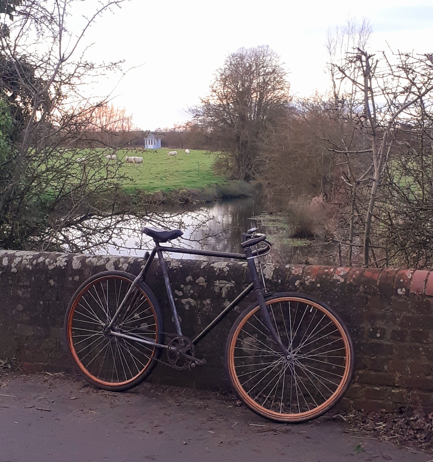 20230129_162447.jpg
