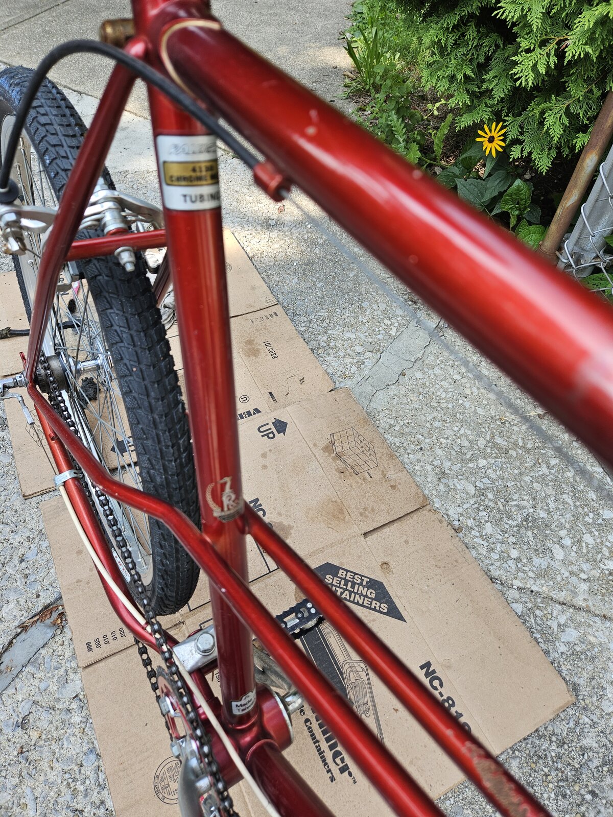 20230725_162818.jpg