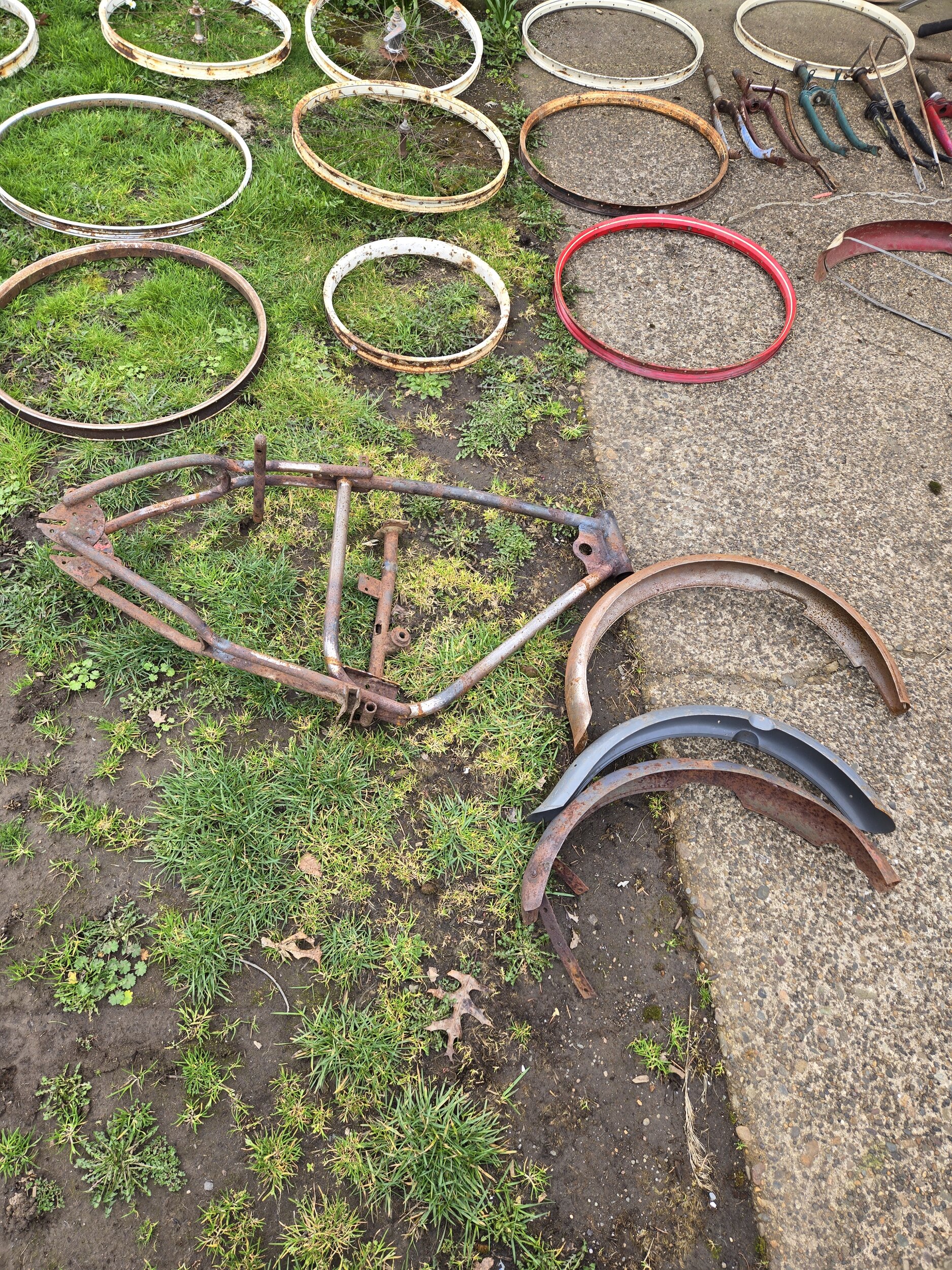 20240225_132147.jpg
