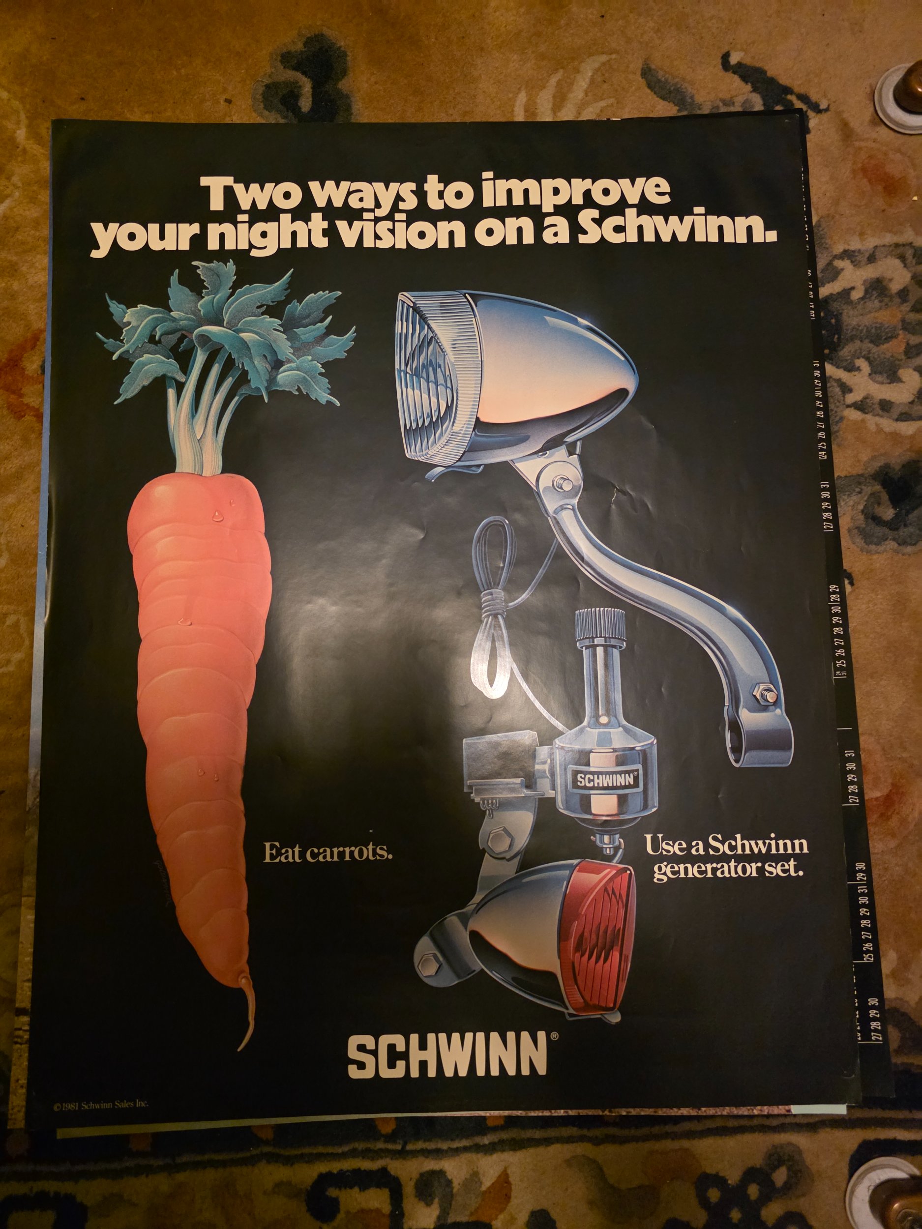20260204_203843.jpg
