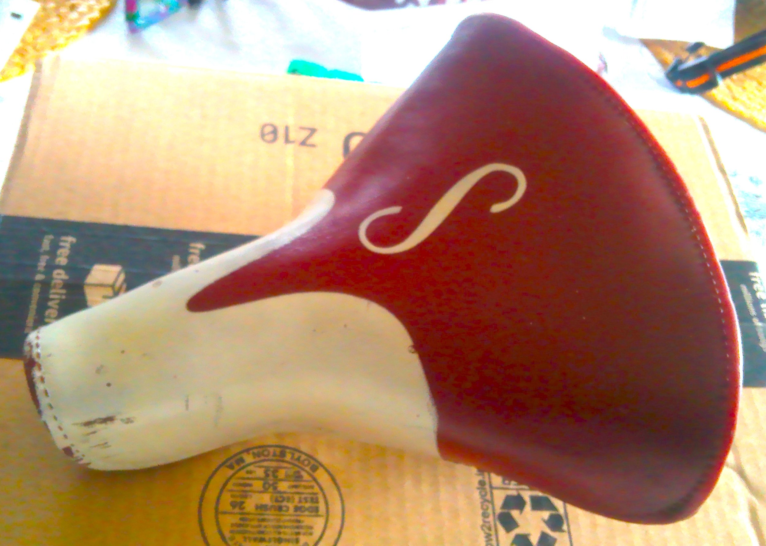 20260325_120132A.jpg
