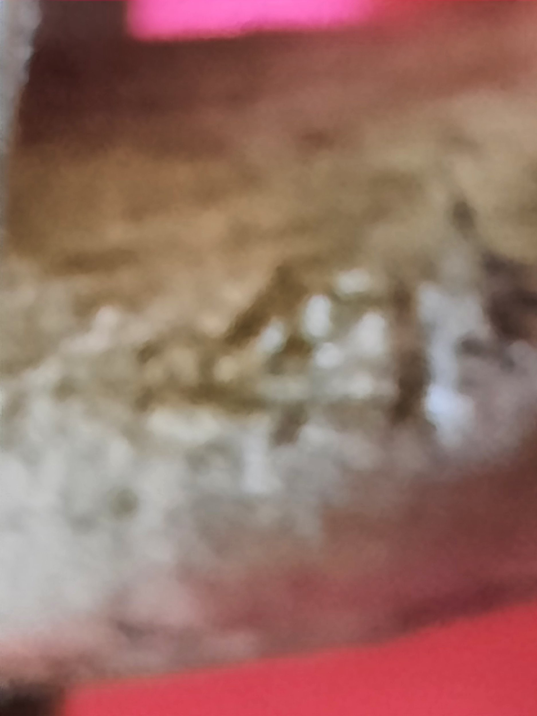 20260510_111701.jpg