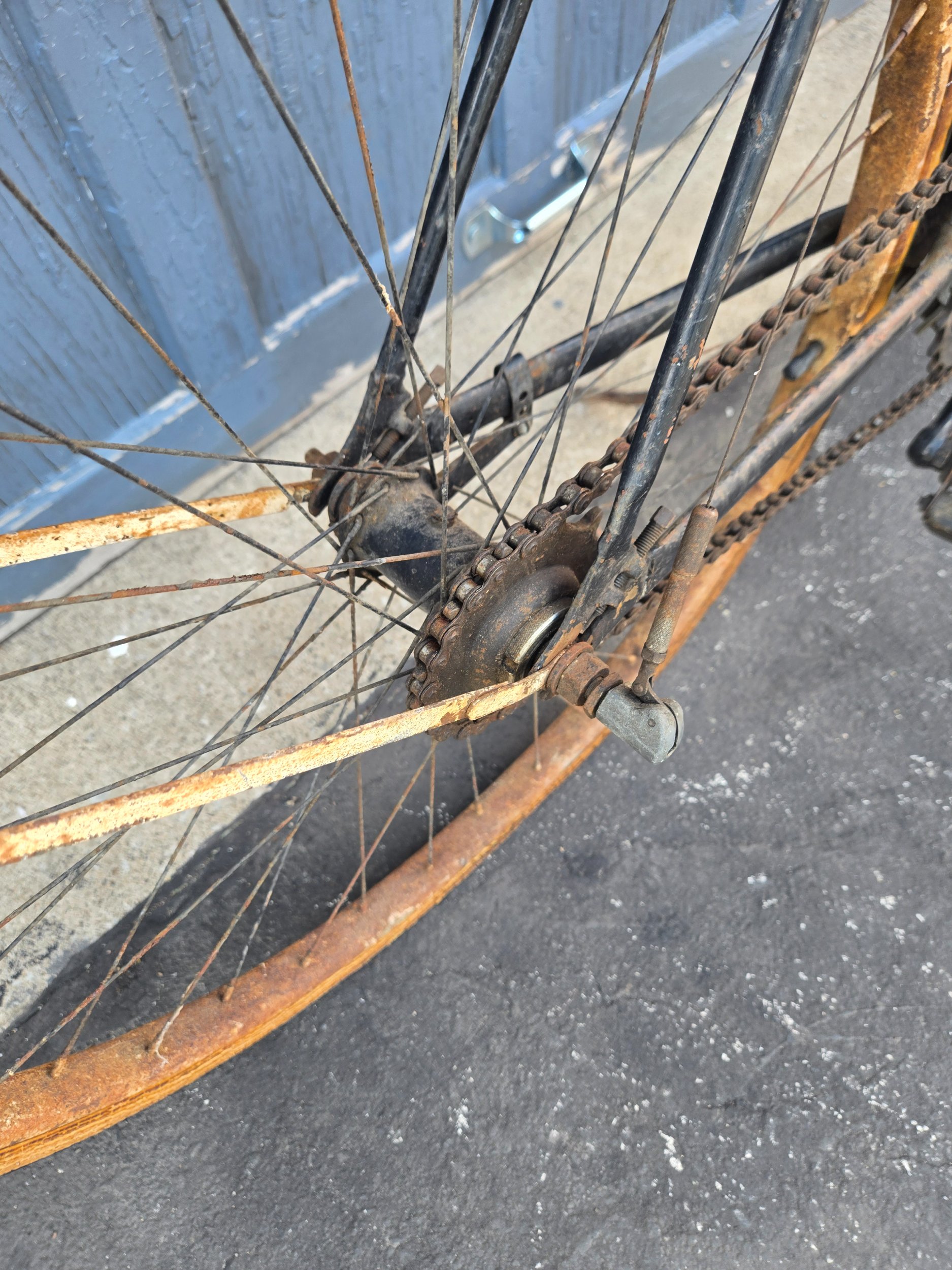 20260616_160115.jpg
