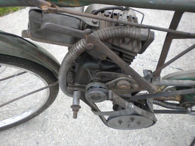 badger 003.jpg