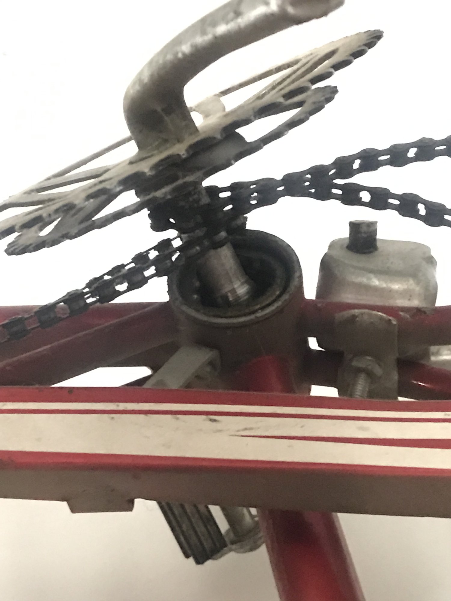 Bikepic2.jpg