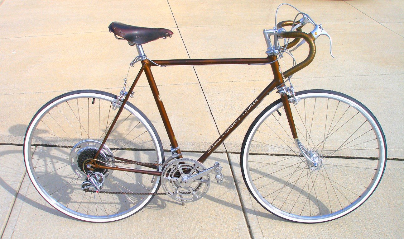 Bobs_Brown (Medium).JPG