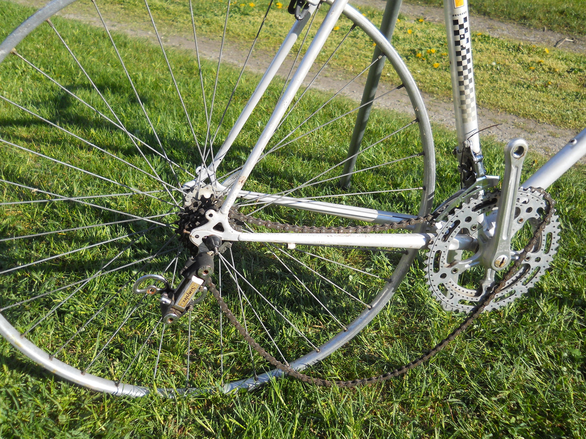 DSCN0726.JPG