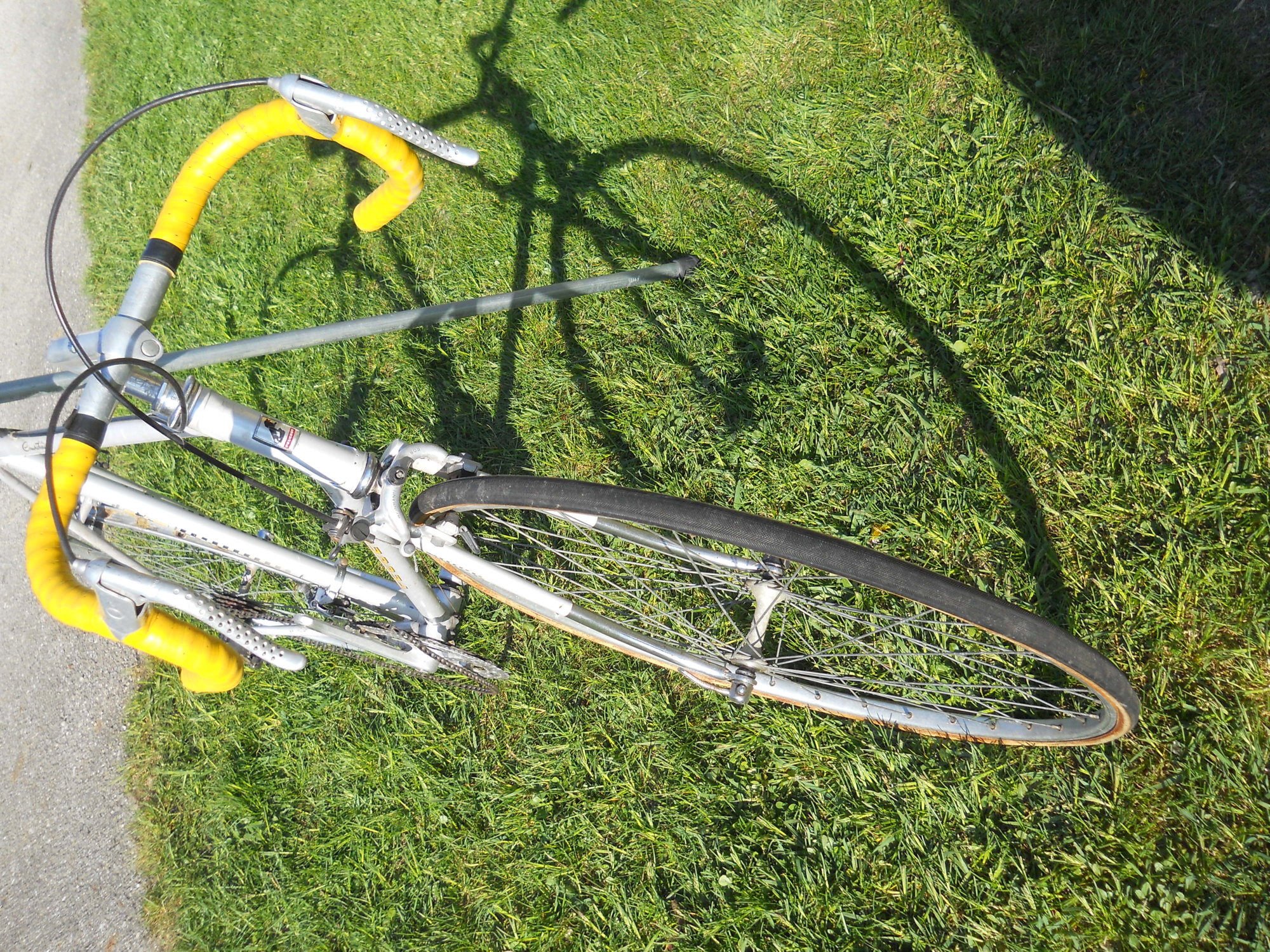 DSCN0727.JPG