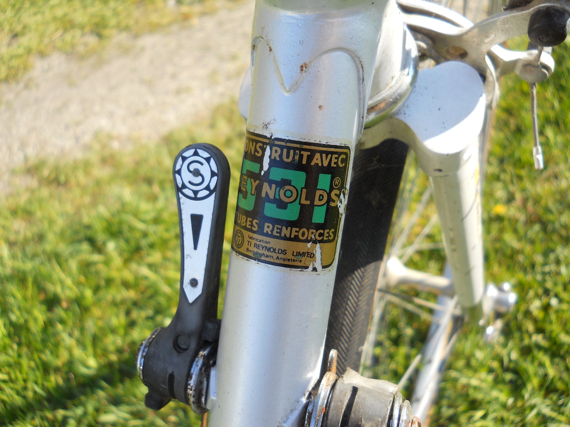 DSCN0729.JPG