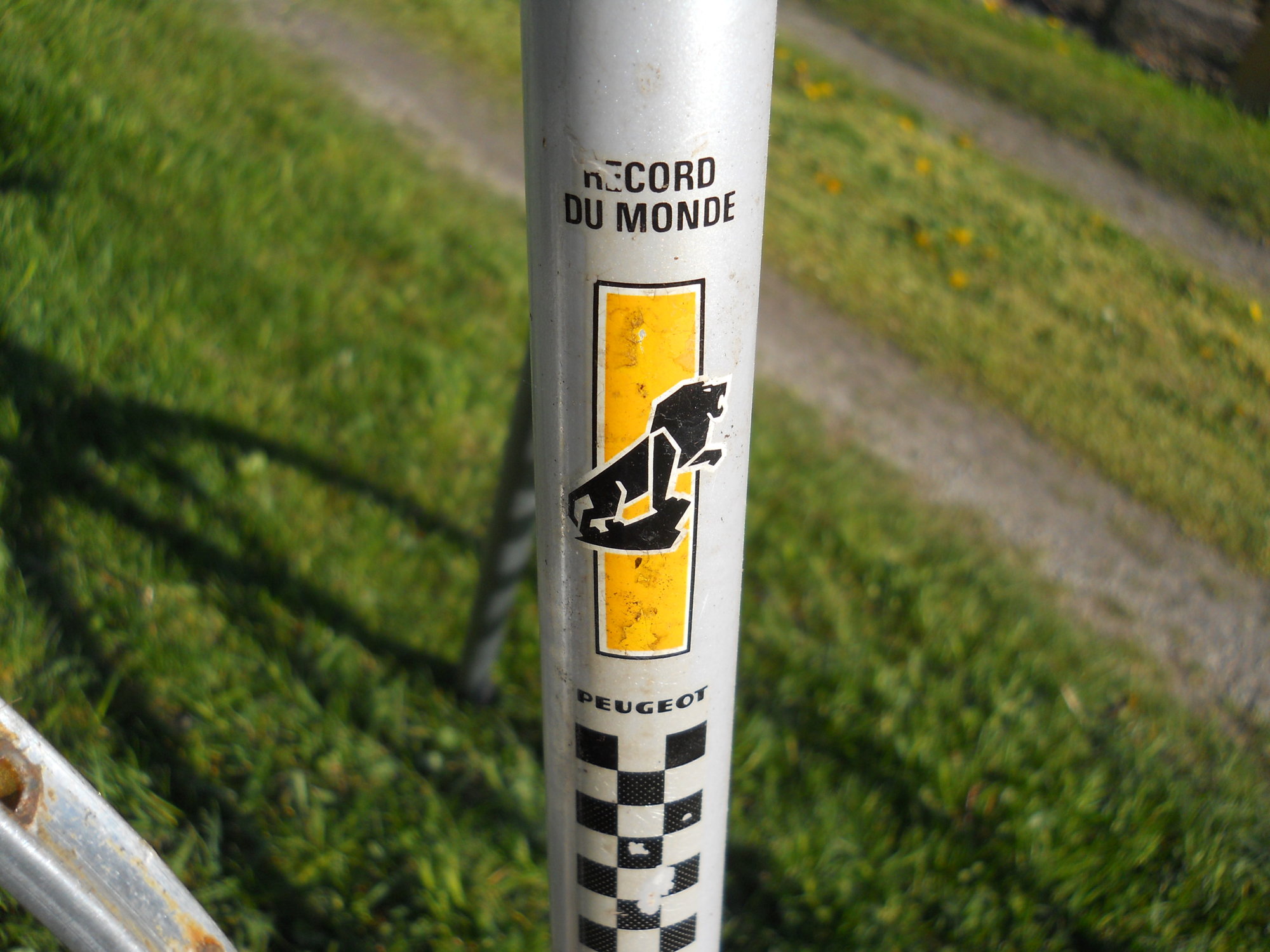 DSCN0730.JPG