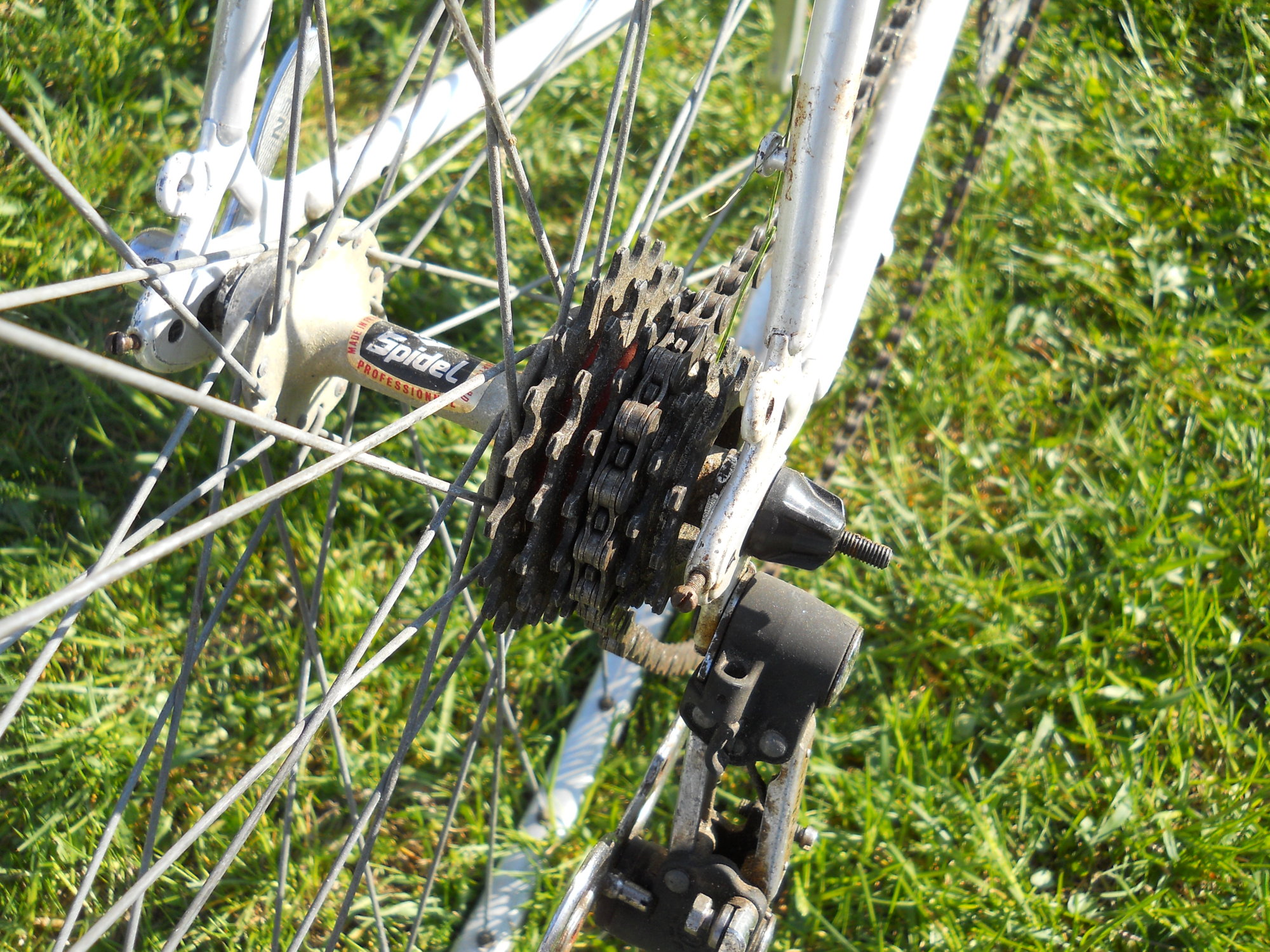 DSCN0731.JPG