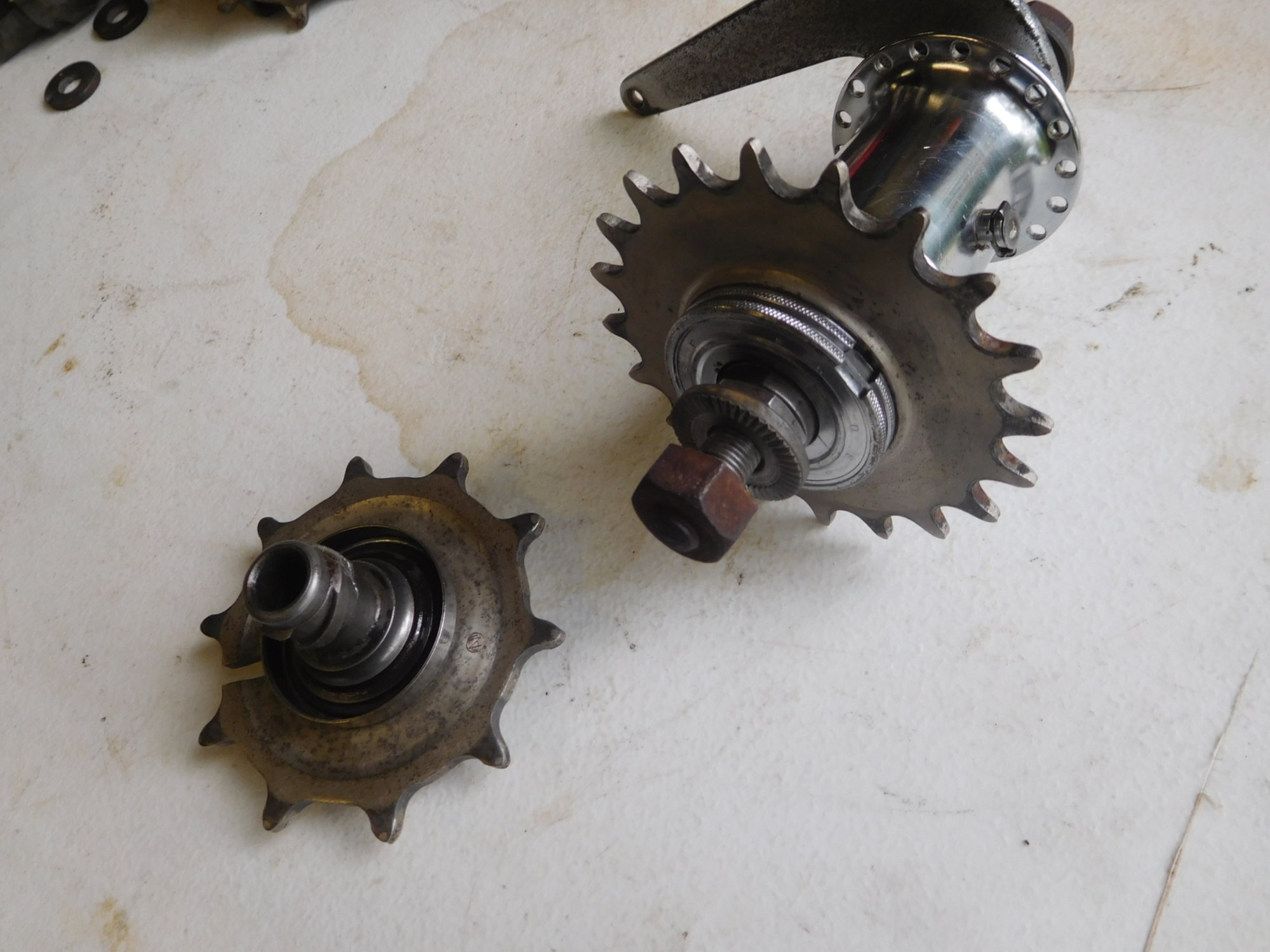 DSCN5294.JPG