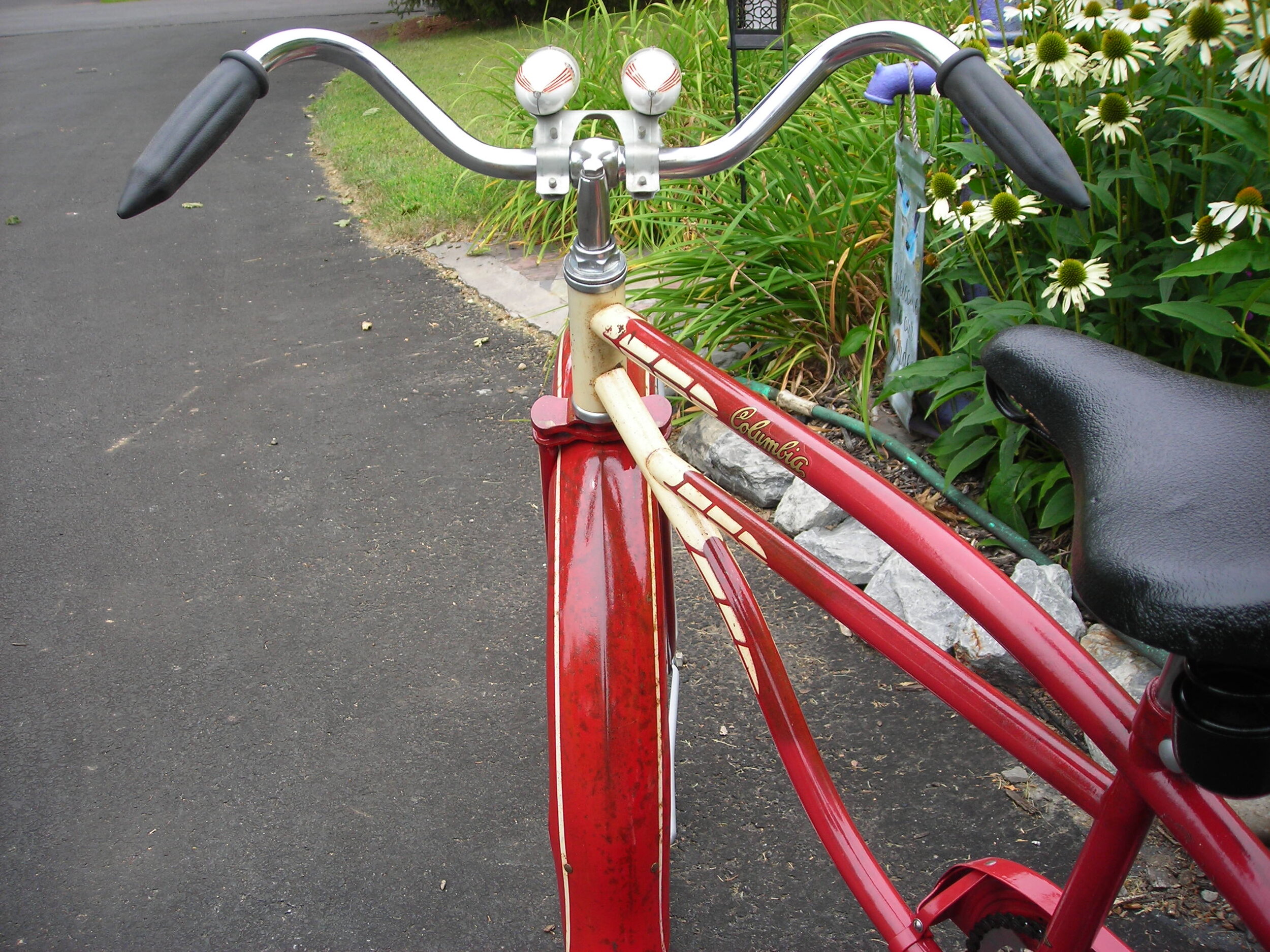 DSCN6749.JPG