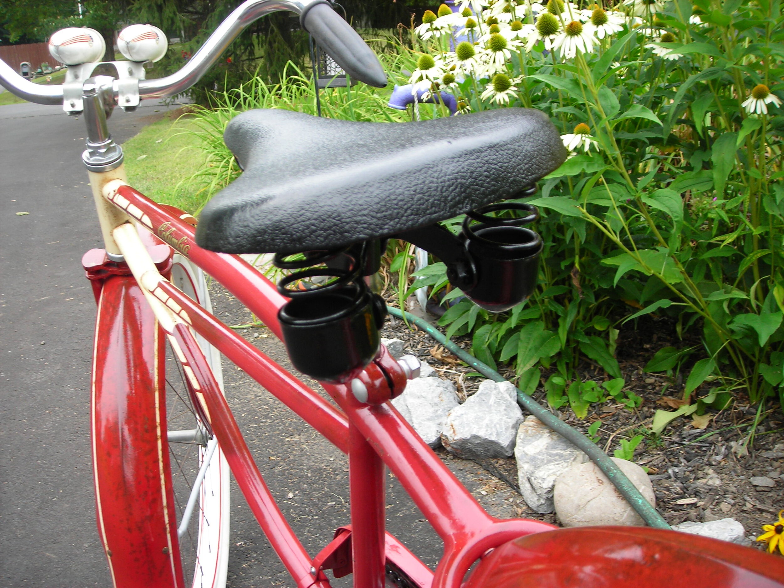 DSCN6754.JPG