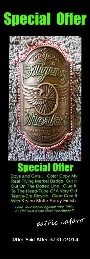 flying merkel badge  copy.jpg