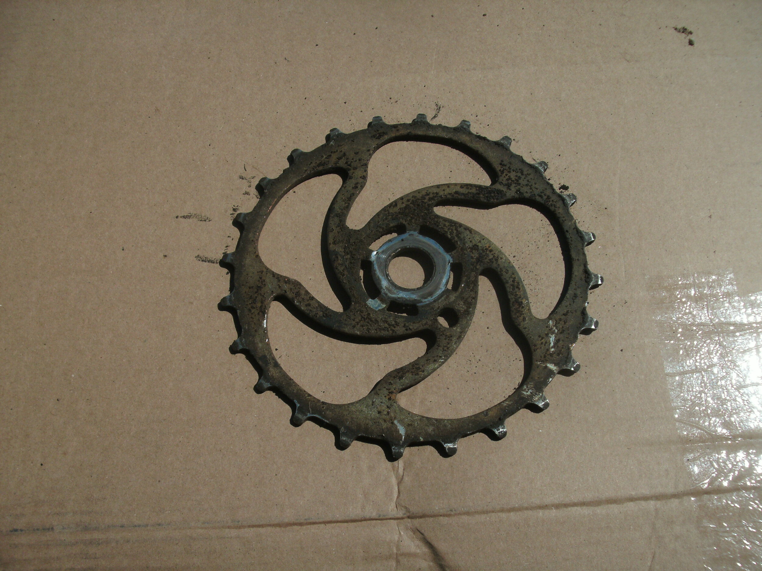 GEDC5631.JPG