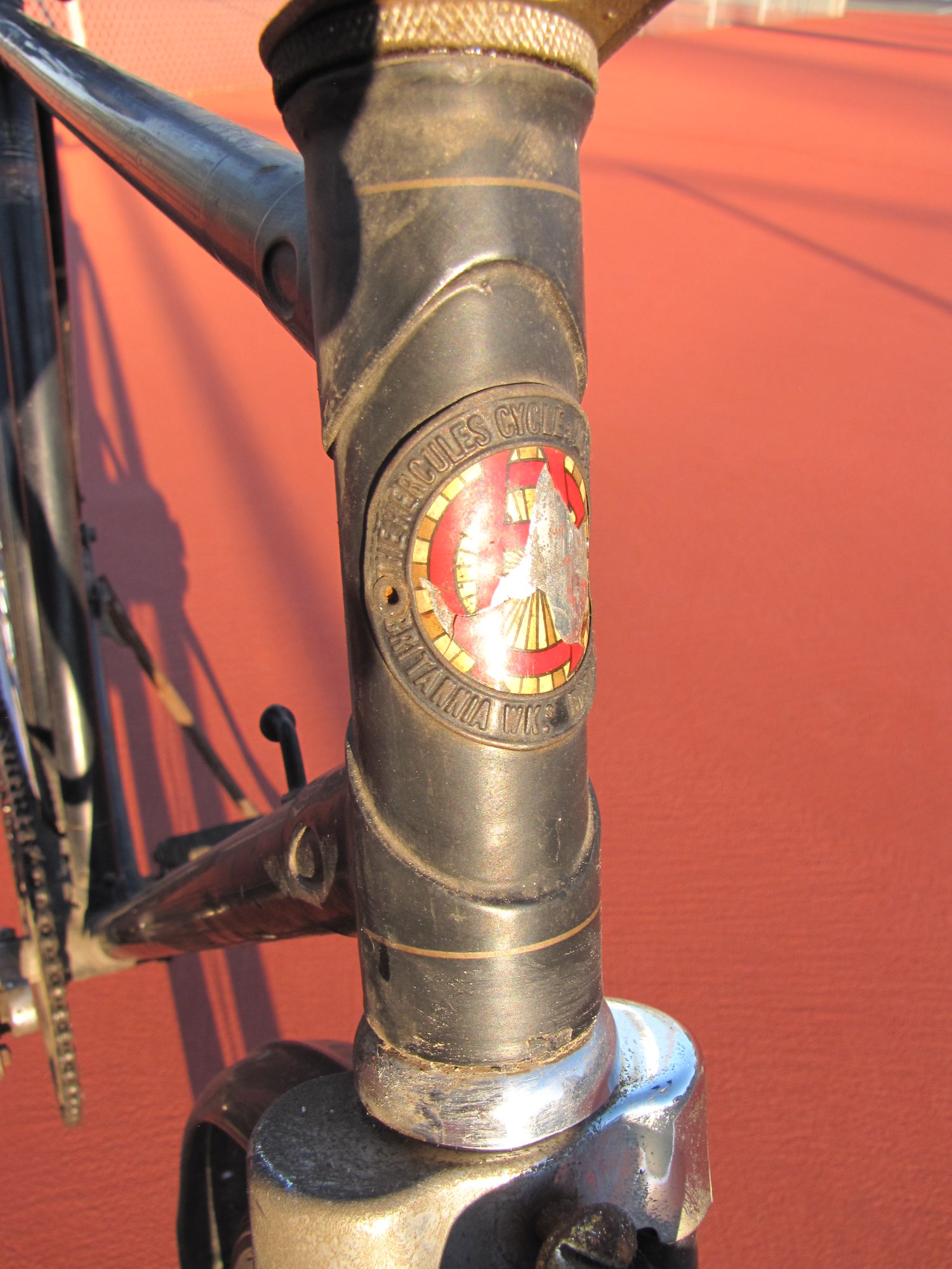 Head Badge Close-Up.JPG