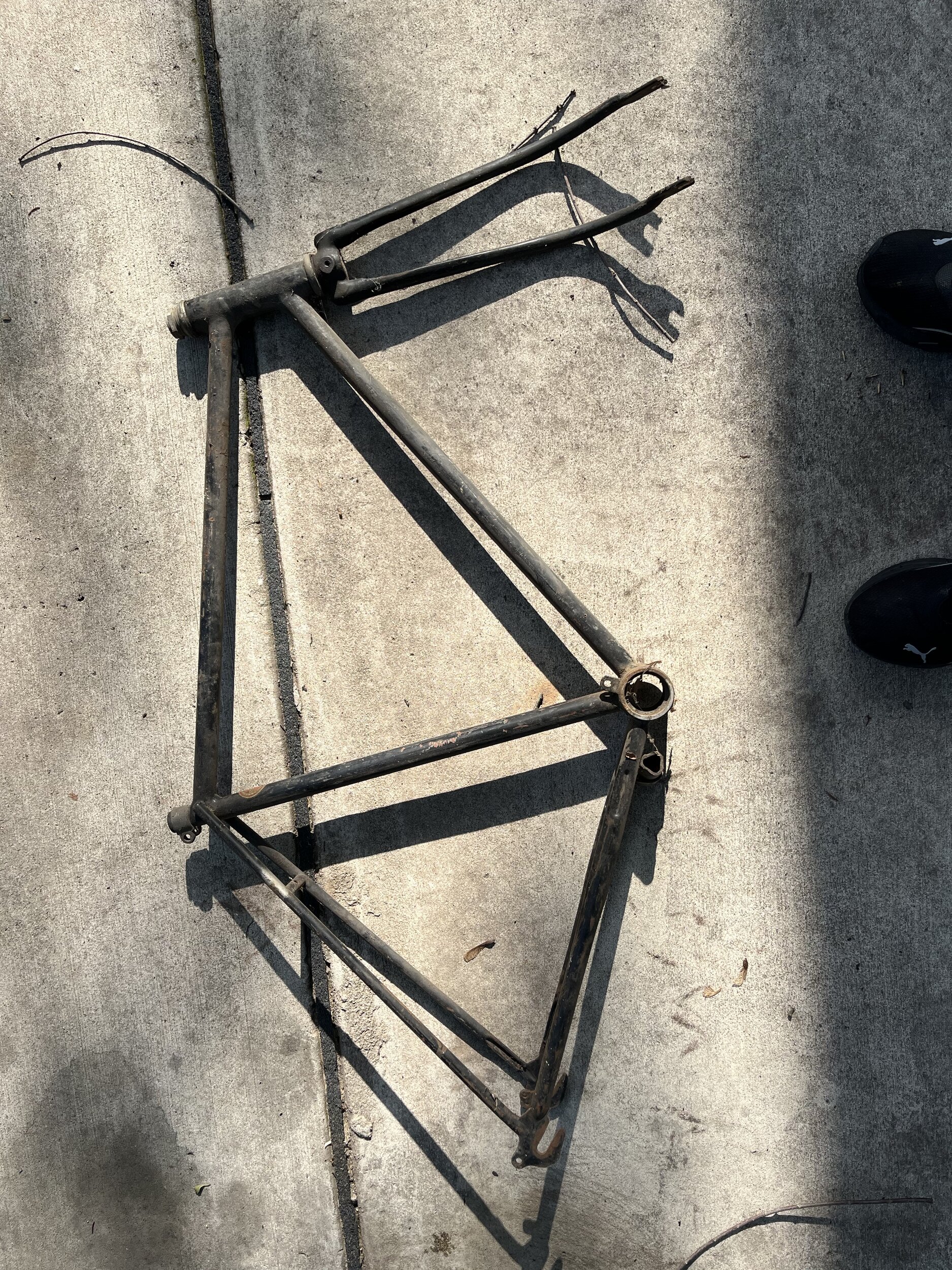 image4.jpeg
