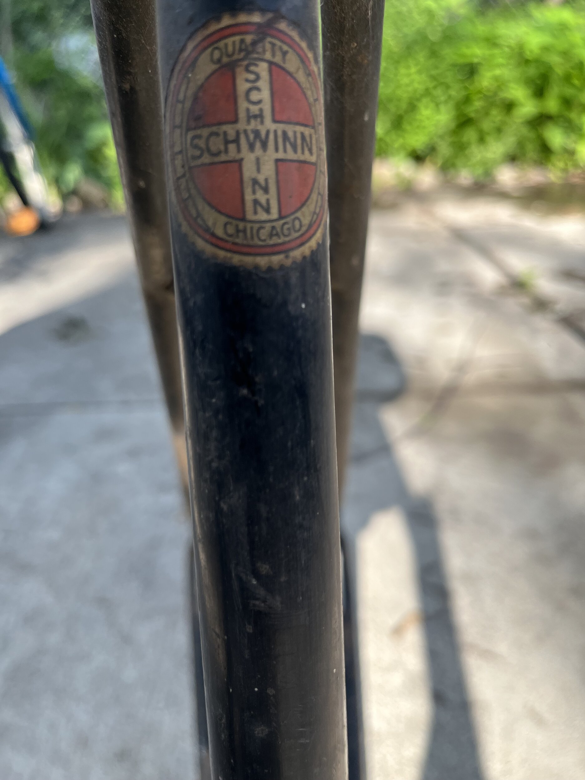 image5.jpeg