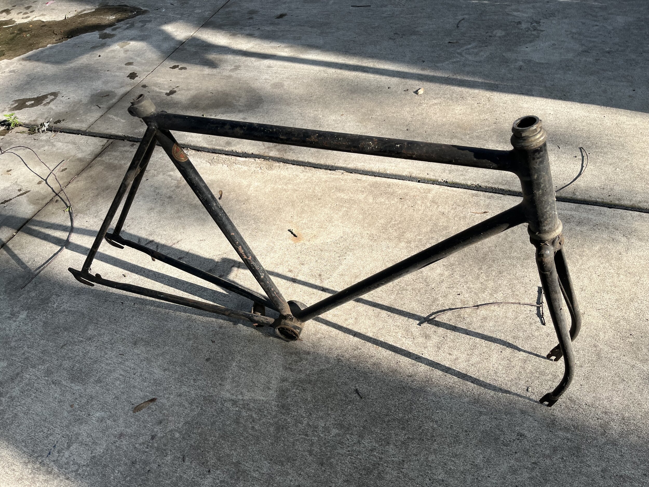 image6.jpeg