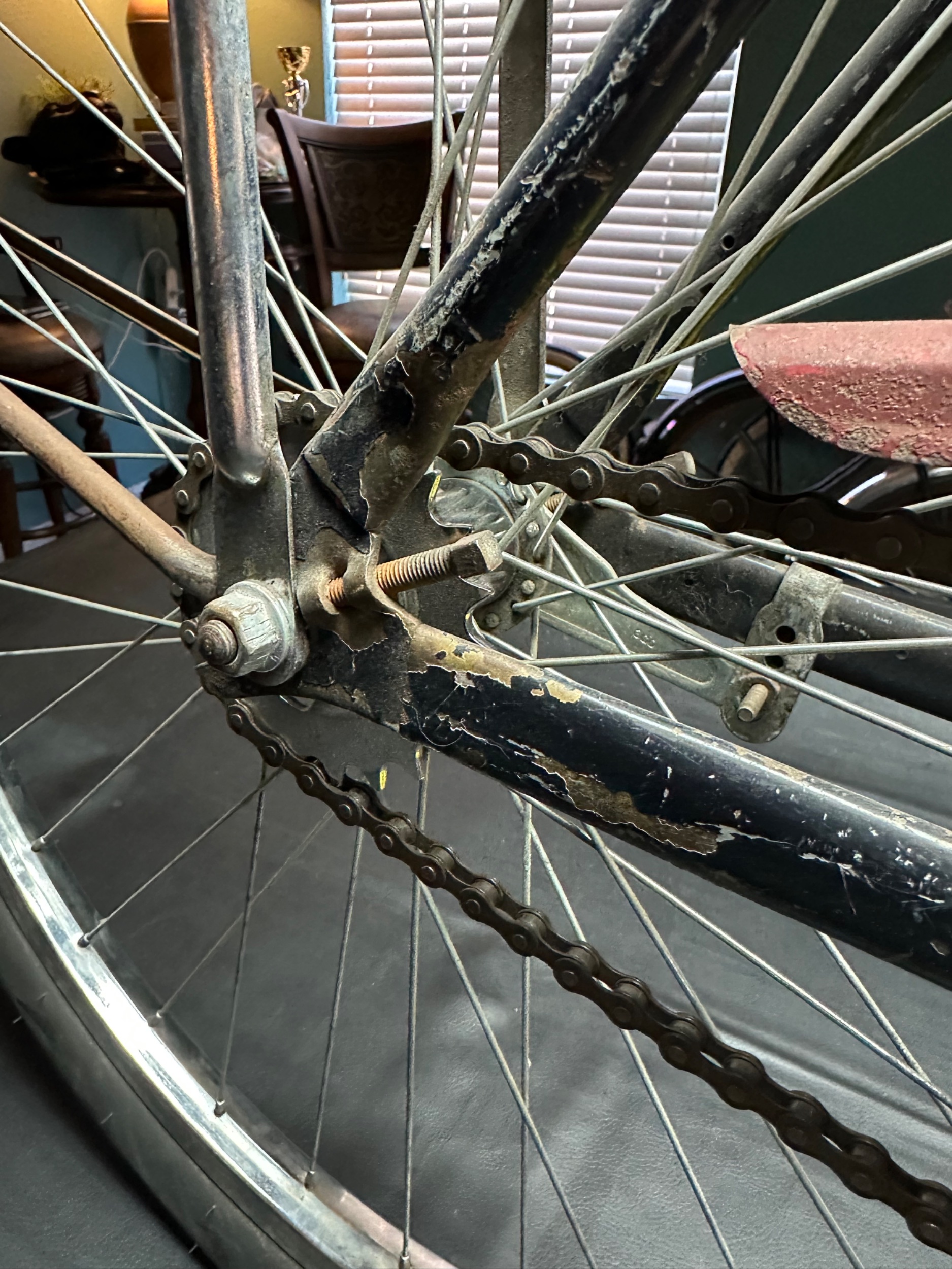 IMG_0795.jpeg