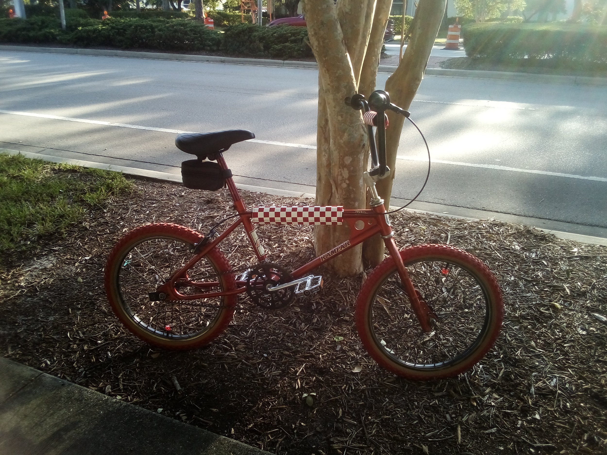 IMG_20130606_183819.jpg