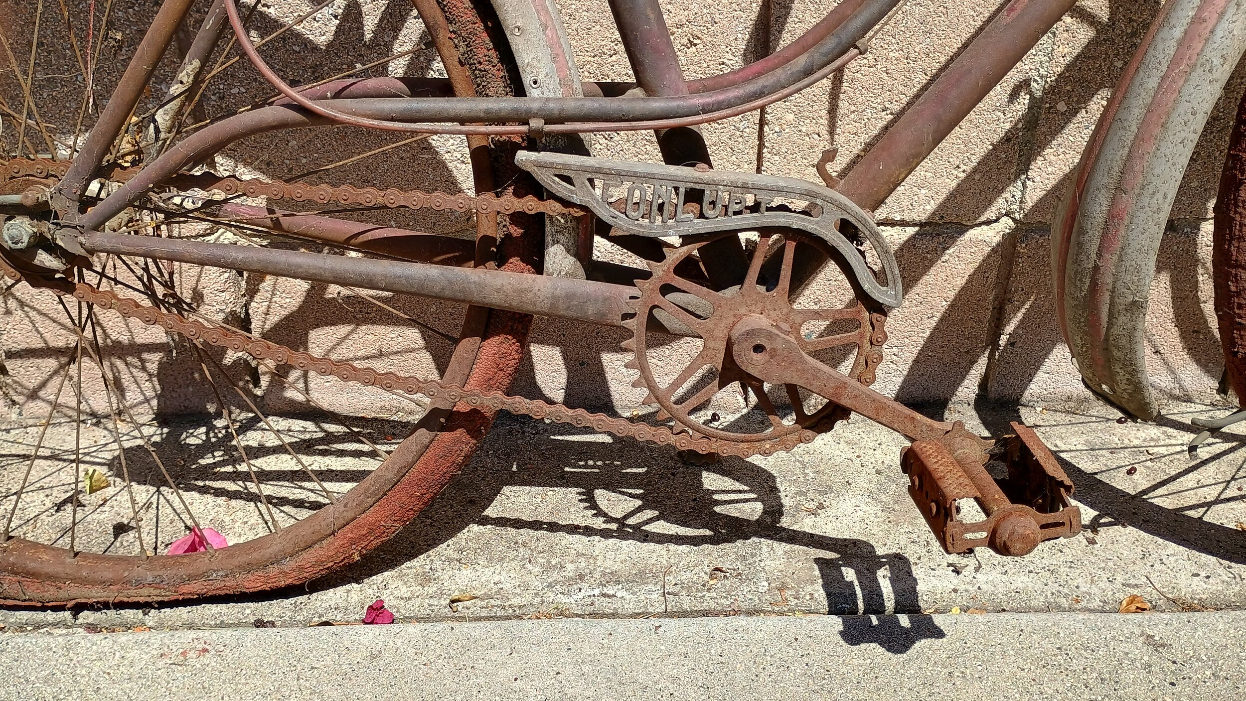 IMG_20260703_145024153_HDR.jpg