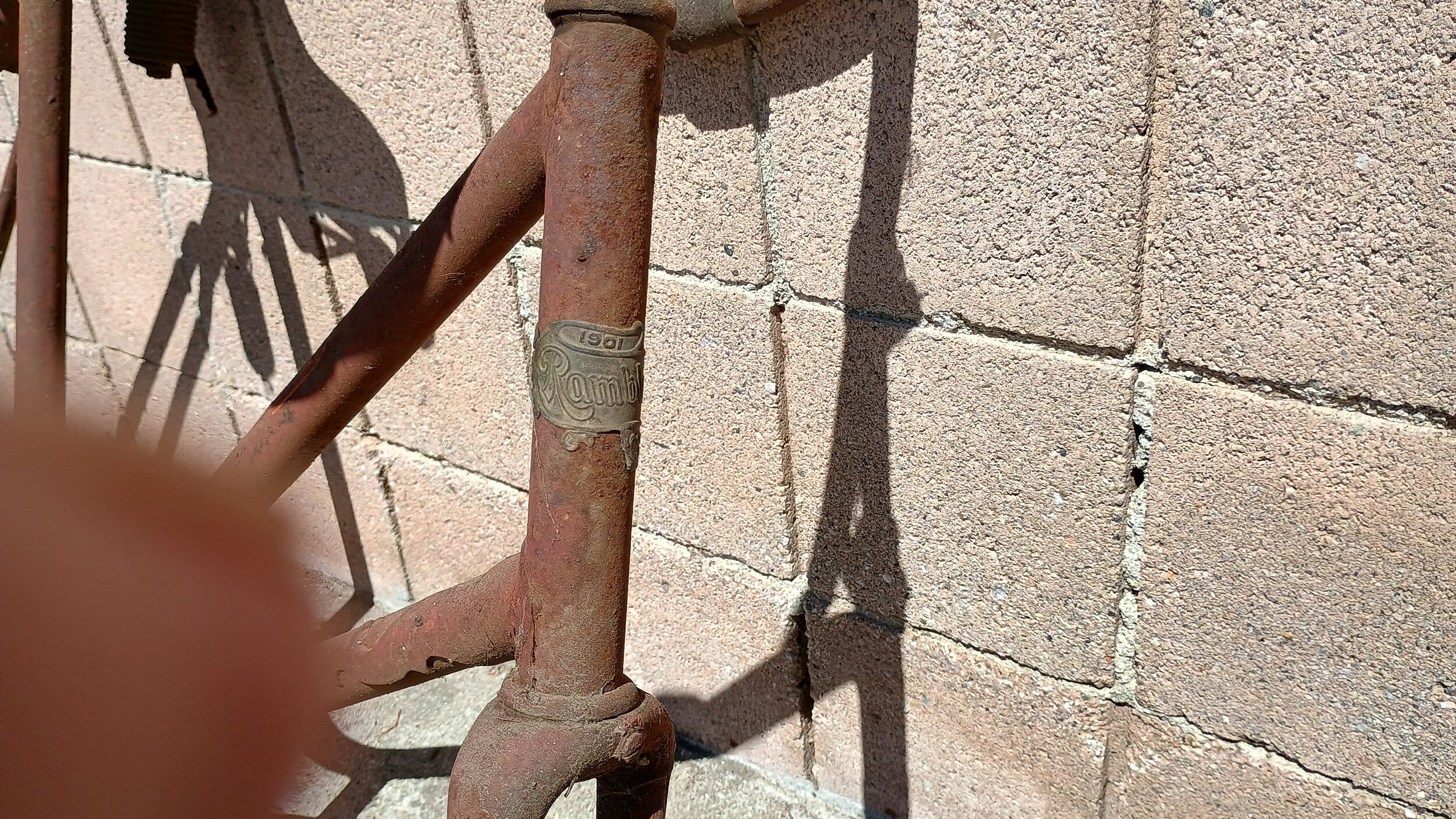 IMG_20260703_145926759_HDR.jpg