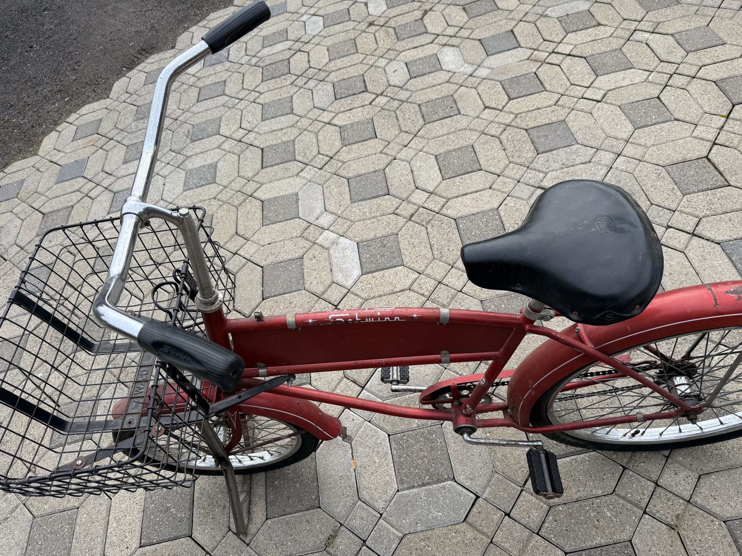 IMG_2132.jpeg