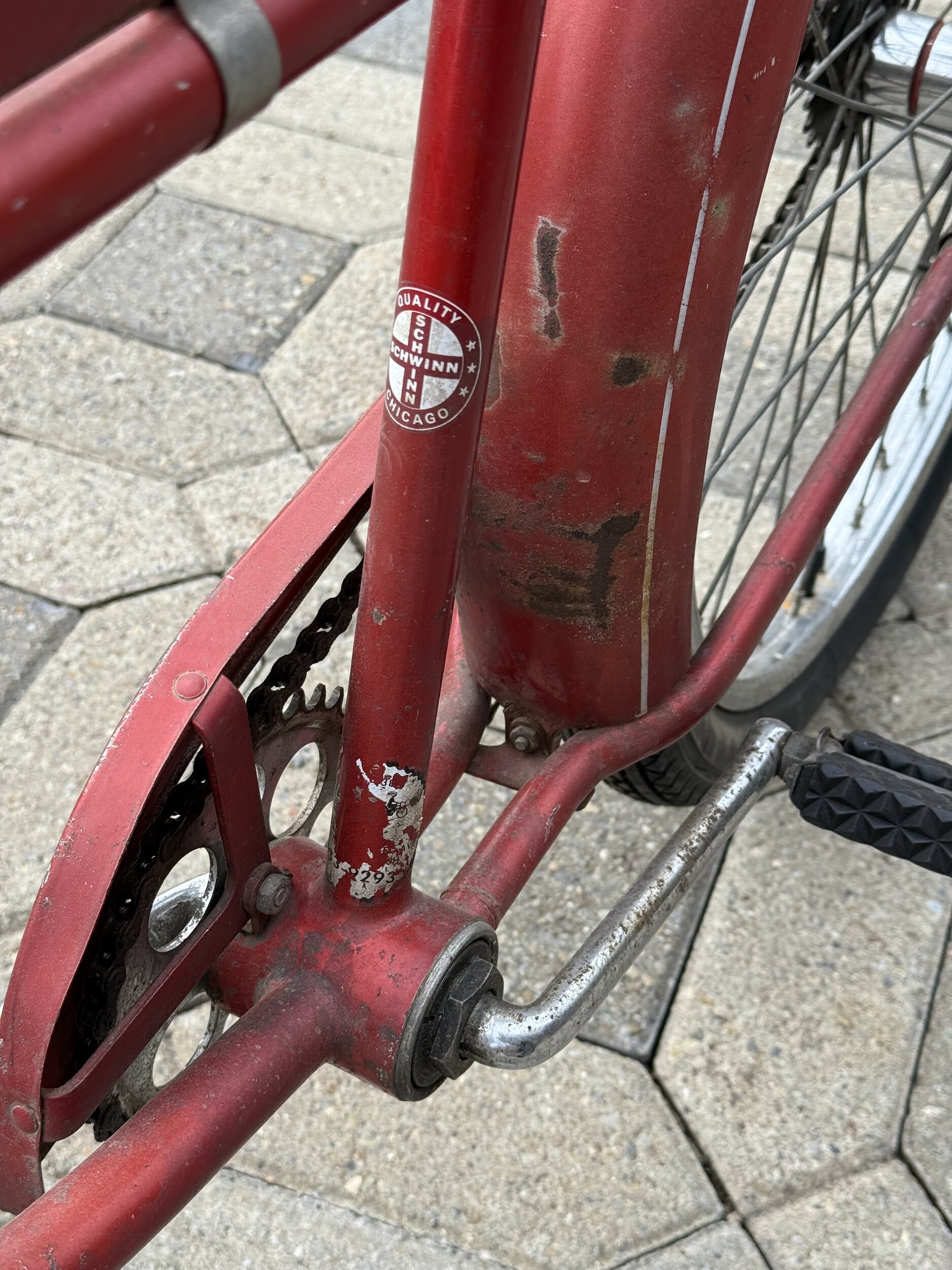 IMG_2144.jpeg