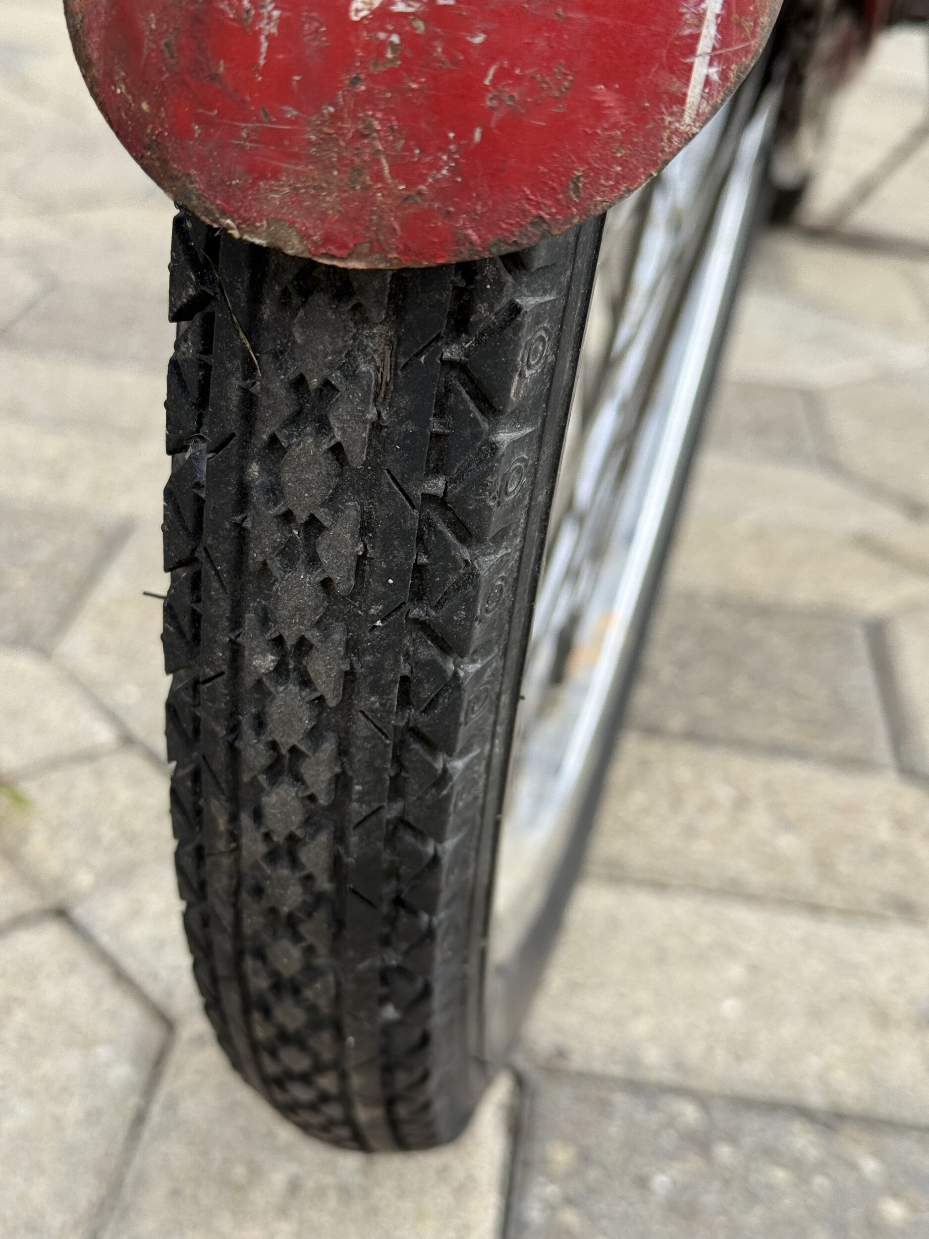 IMG_2149.jpeg