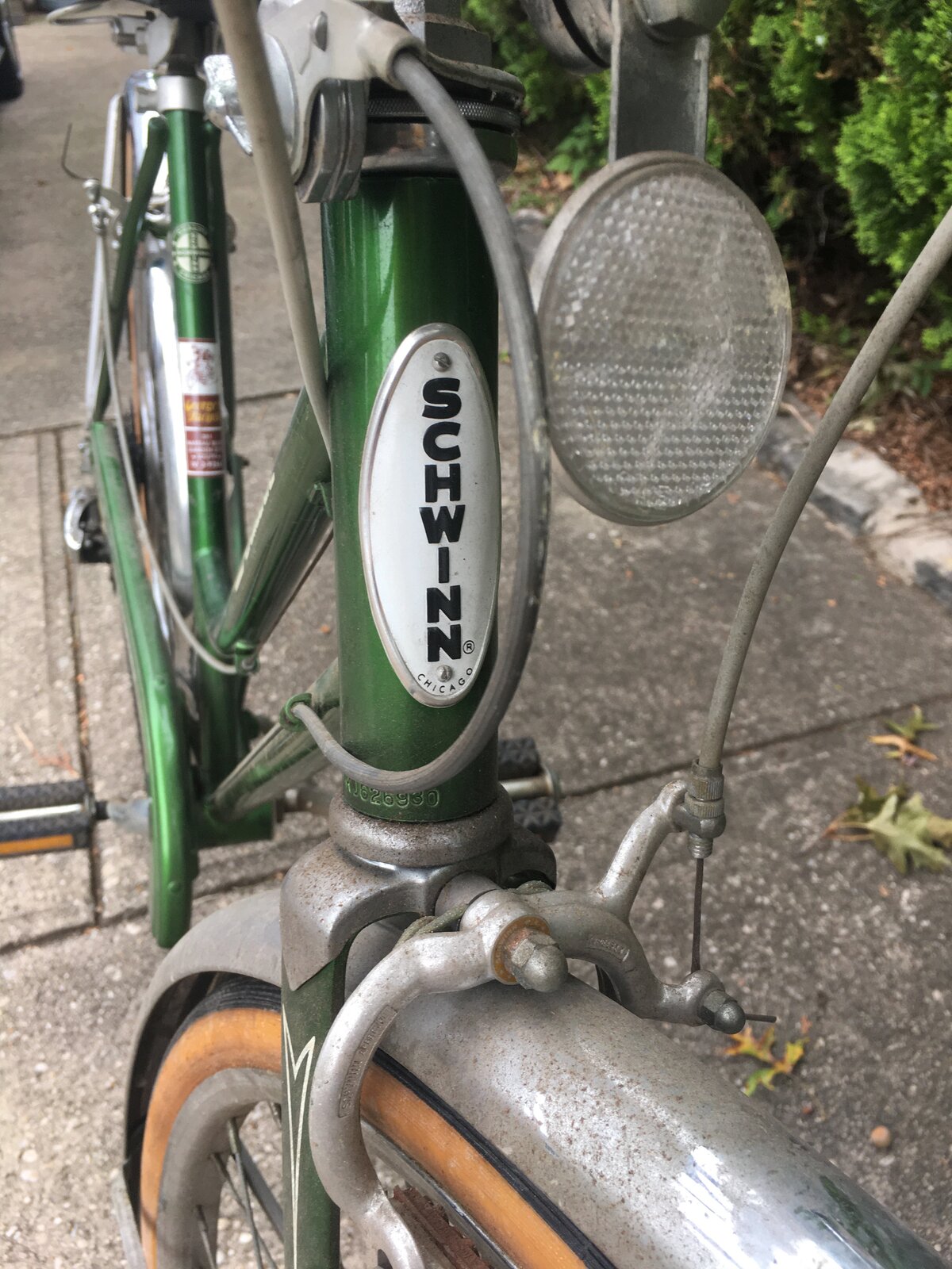 IMG_3046.jpeg
