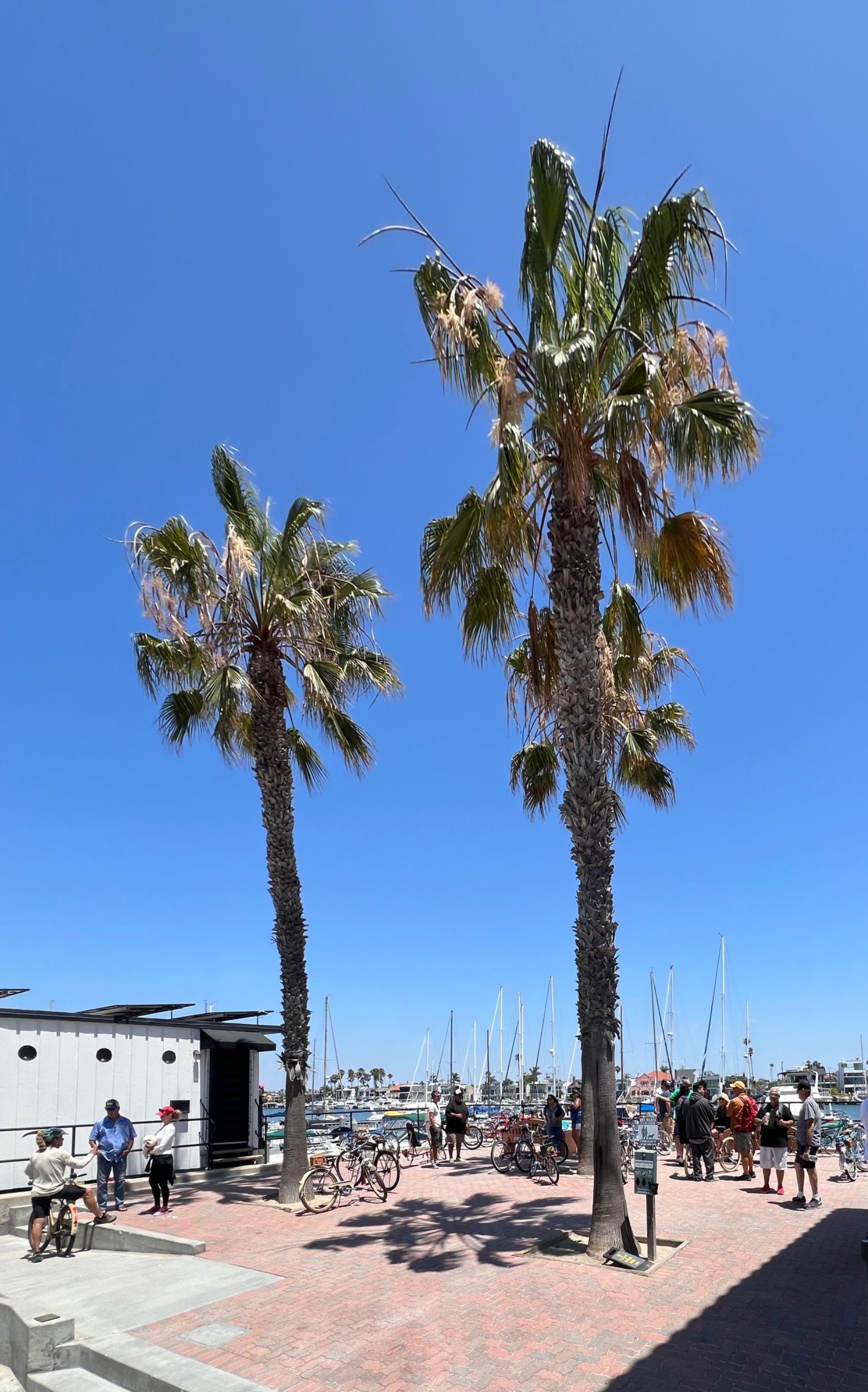 IMG_4076.jpeg