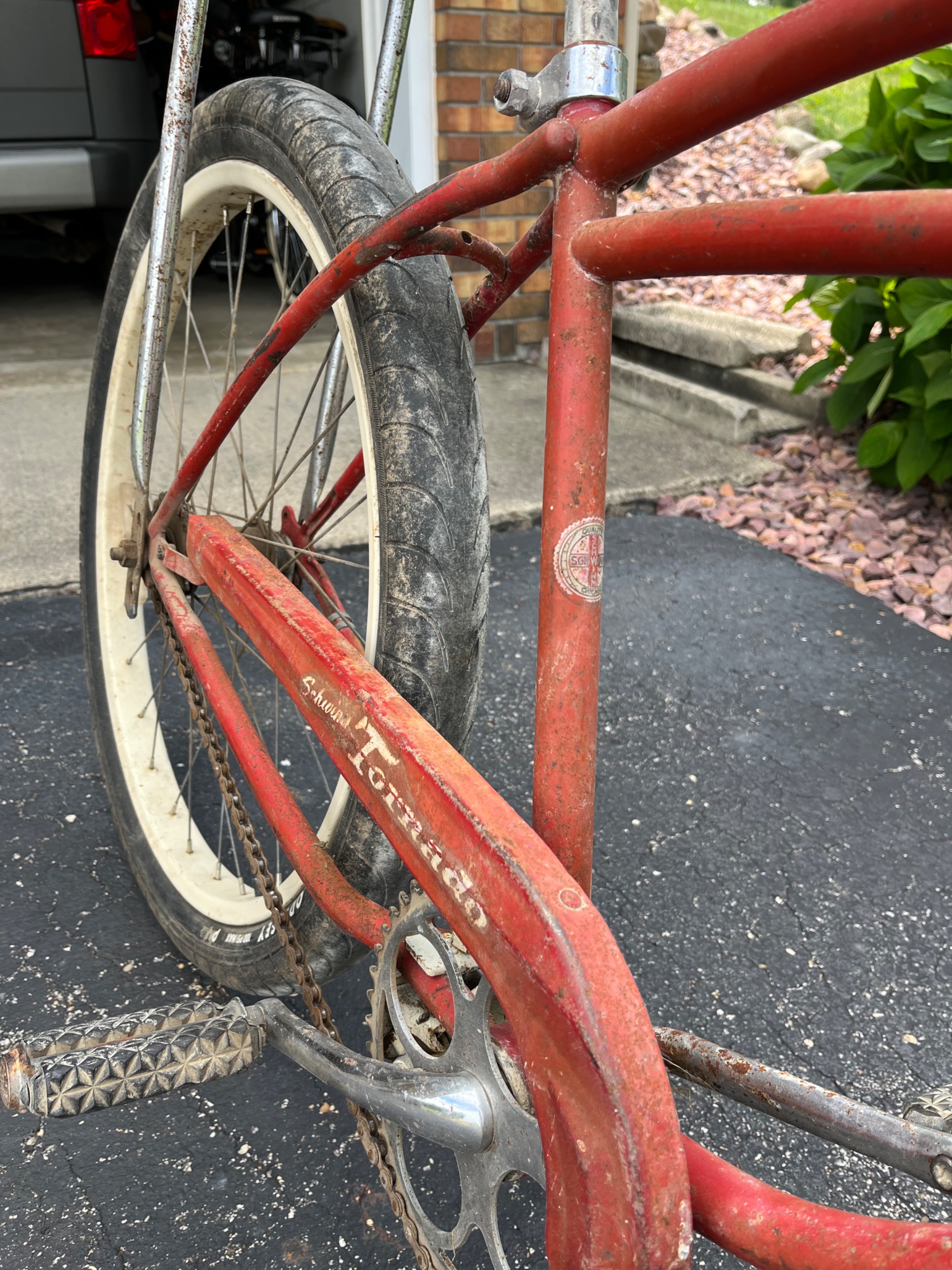 IMG_5897.jpeg