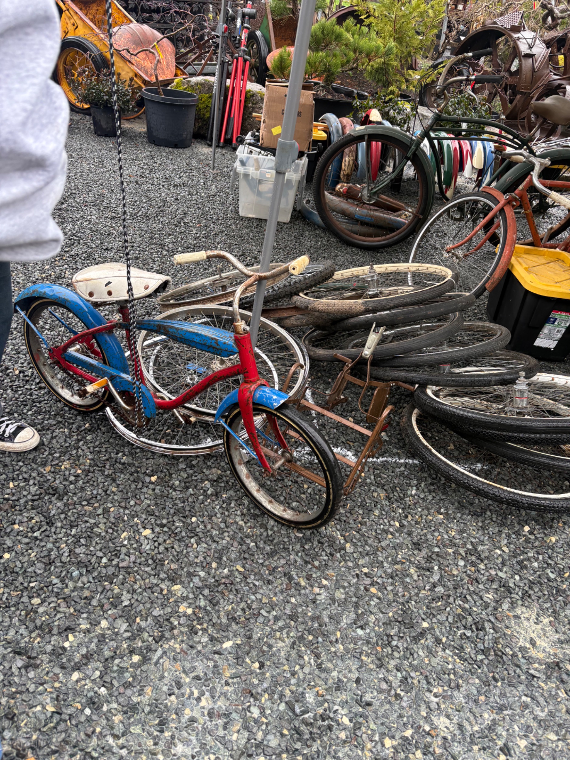 IMG_6647.jpeg