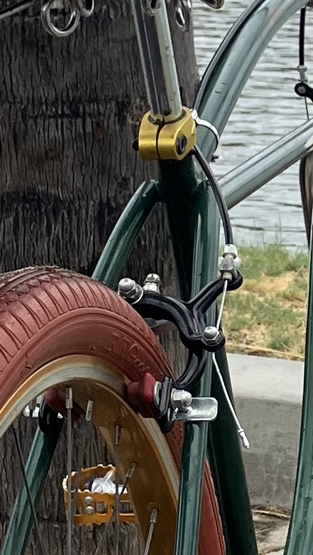 IMG_8447.jpeg