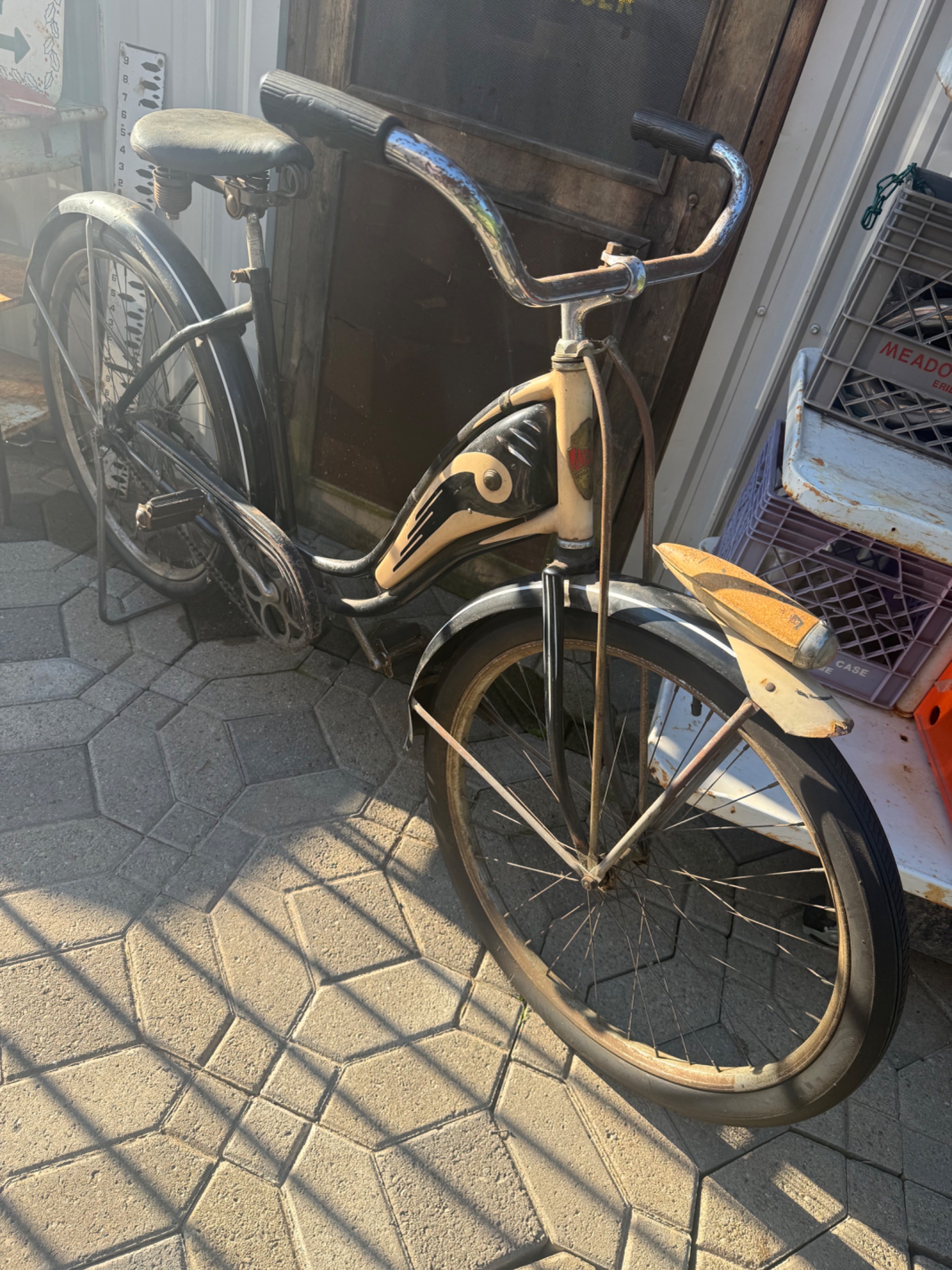IMG_8504.jpeg