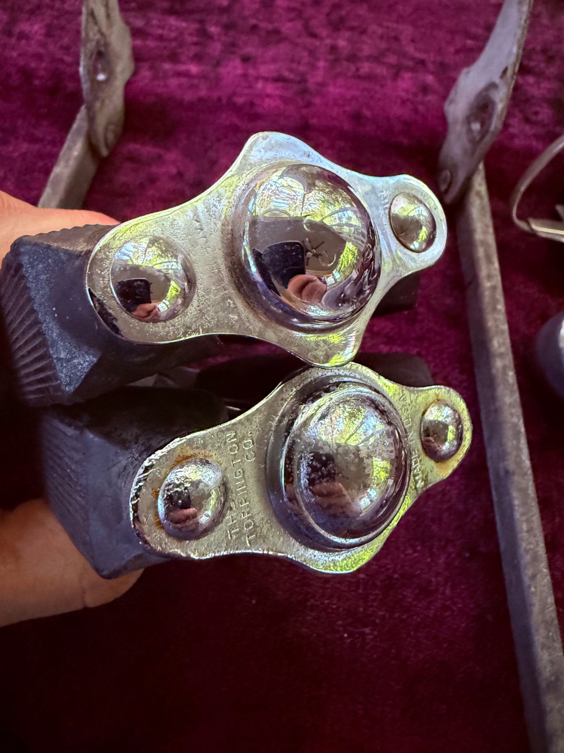 IMG_8635.jpeg
