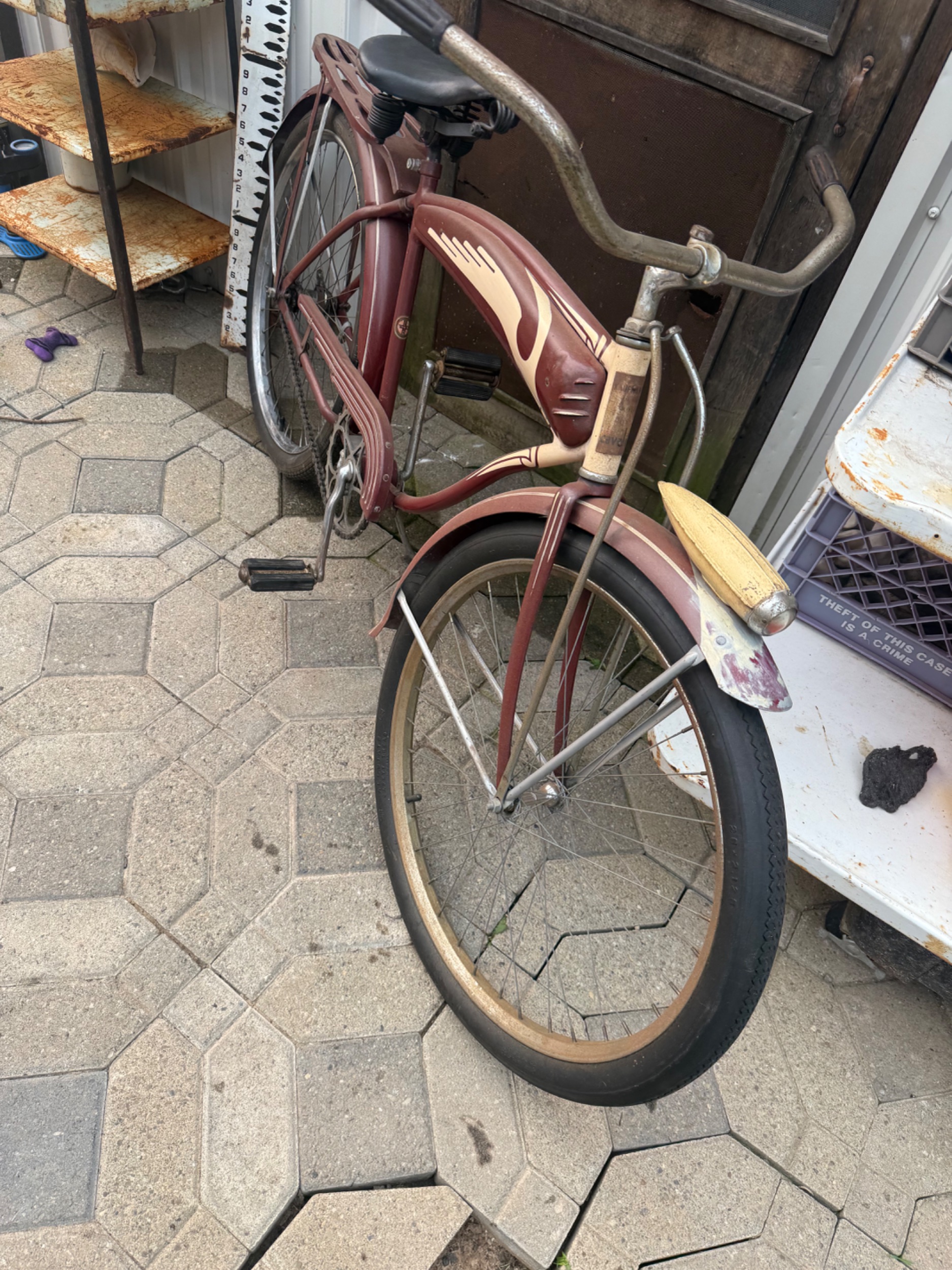IMG_9036.jpeg