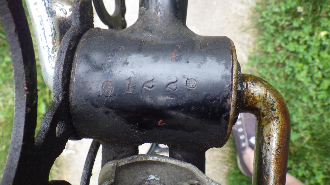 IMGP1808.jpg