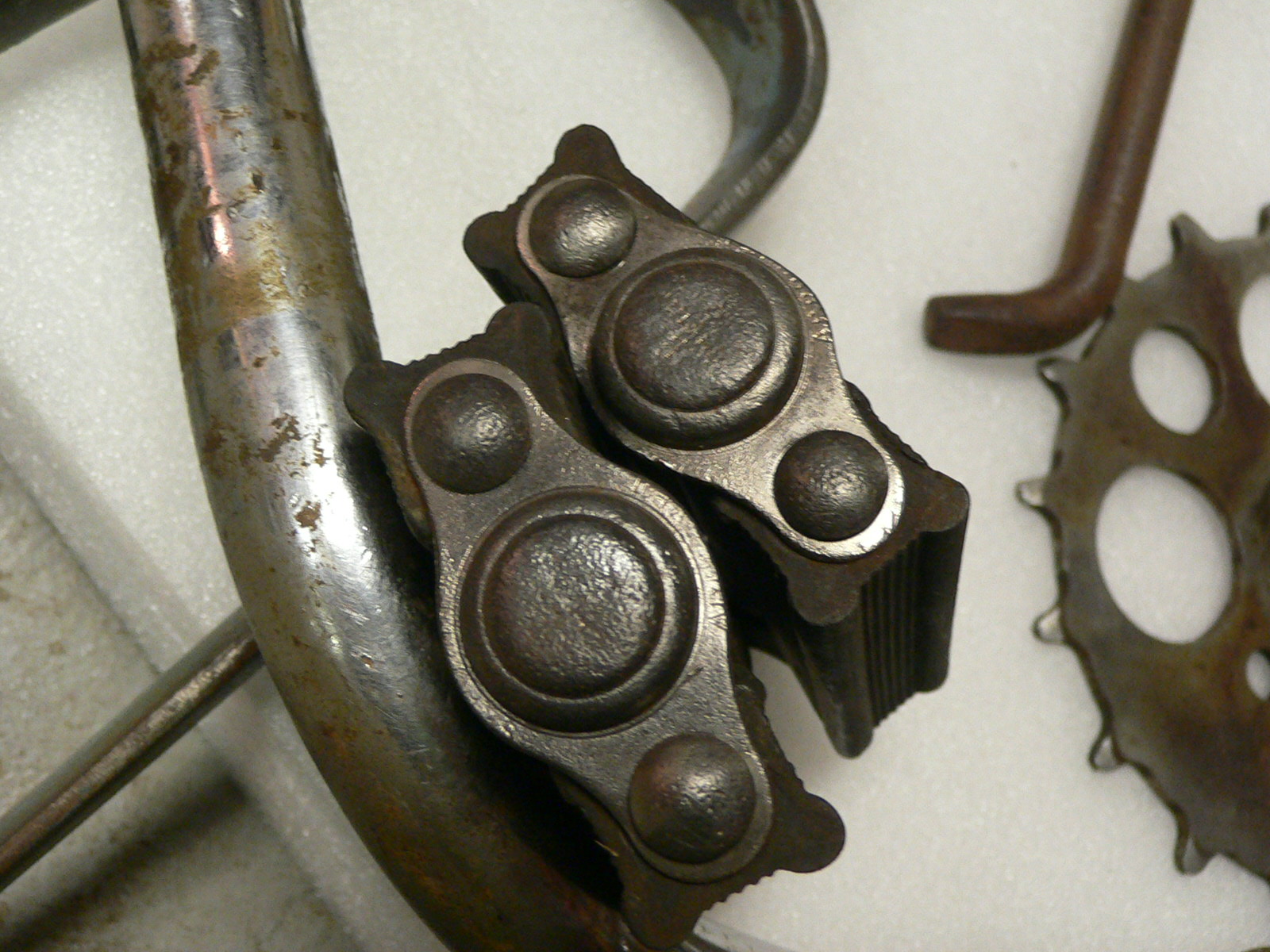 P1230237.JPG